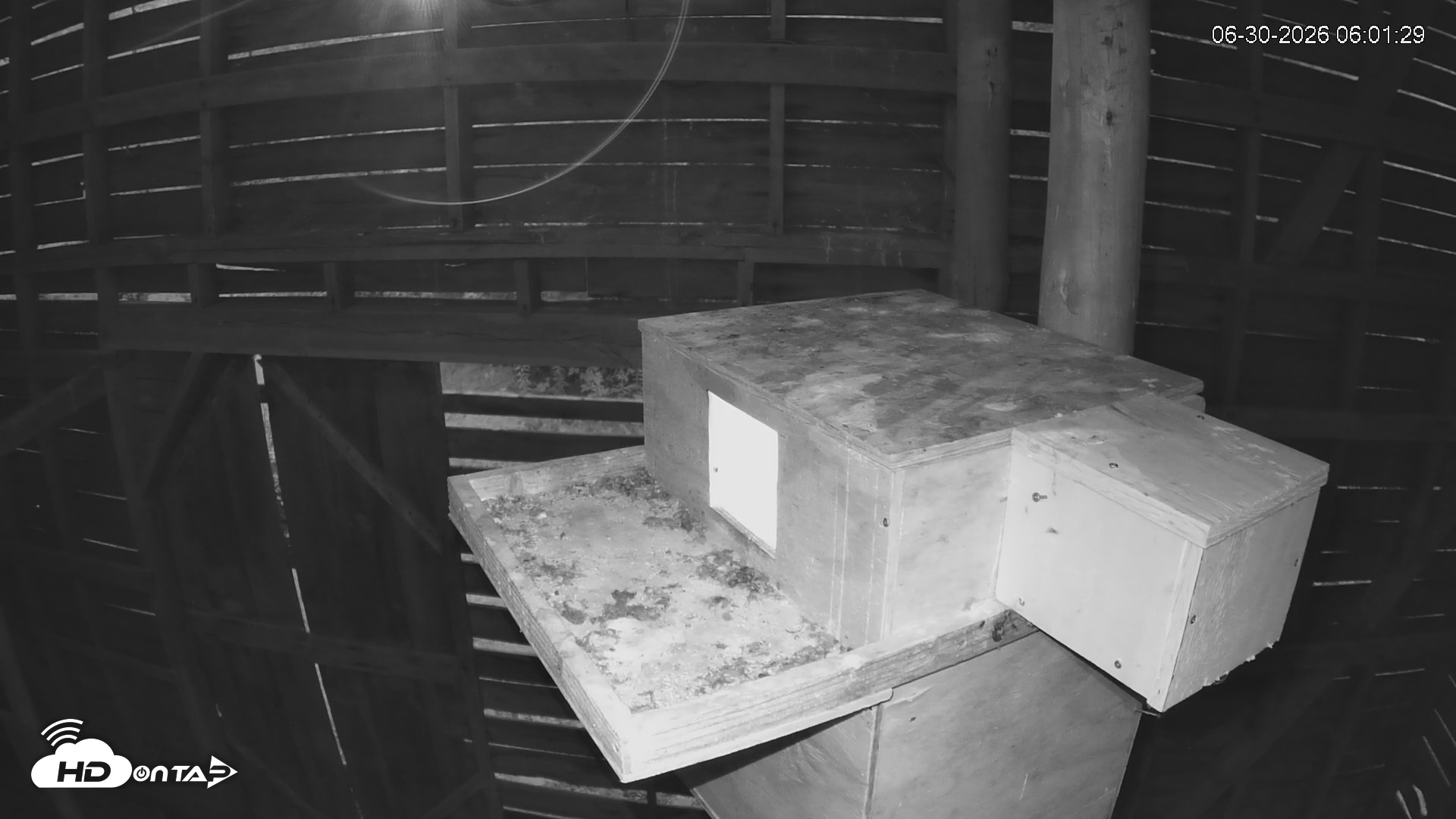 Snapshot of North Carolina Barn Owls Live Cam taken Jun 30, 2026, 6:03am EDT