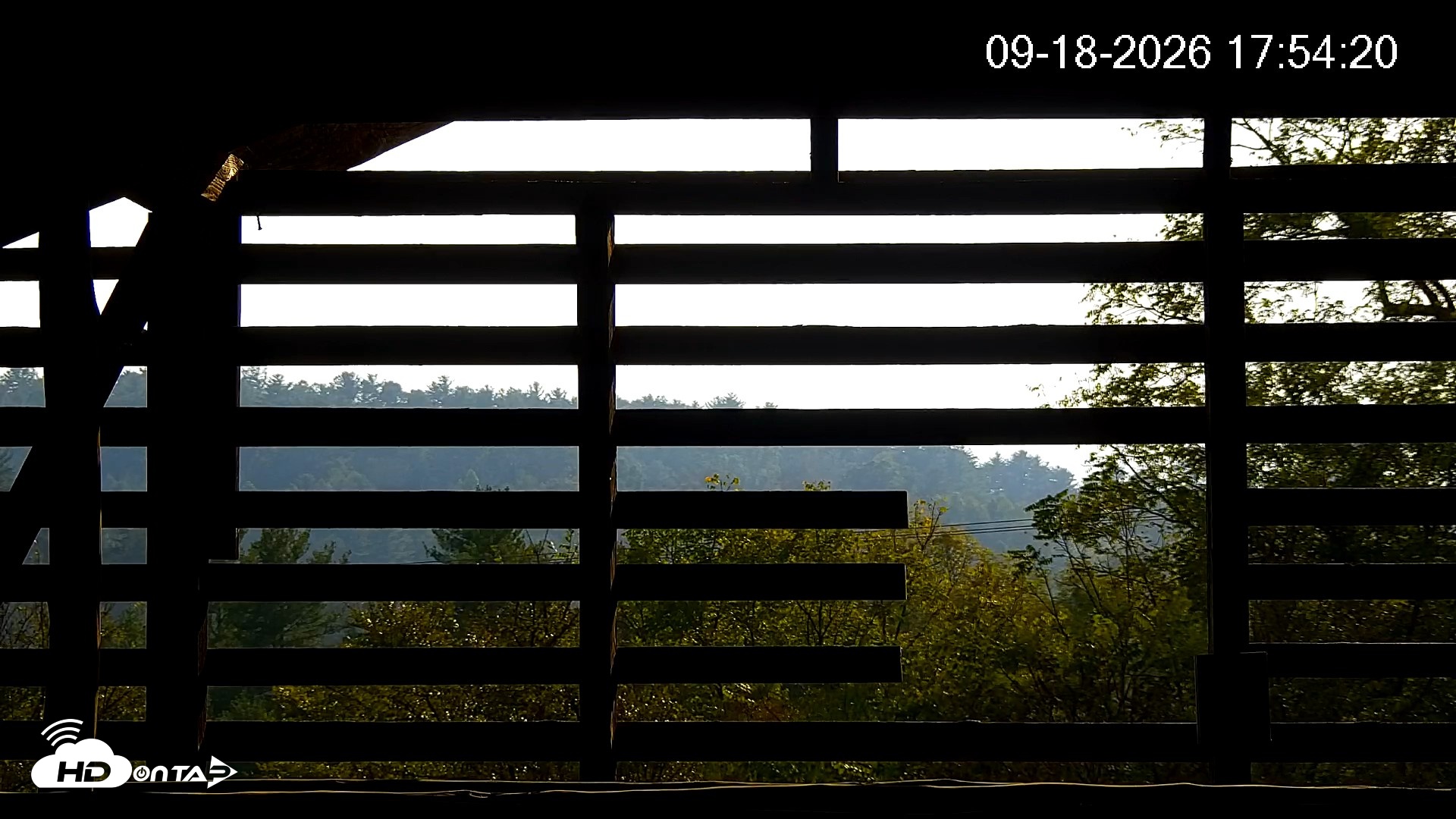 Snapshot of North Carolina Barn Owls Live Cam taken Sep 18, 2026, 5:54pm EDT