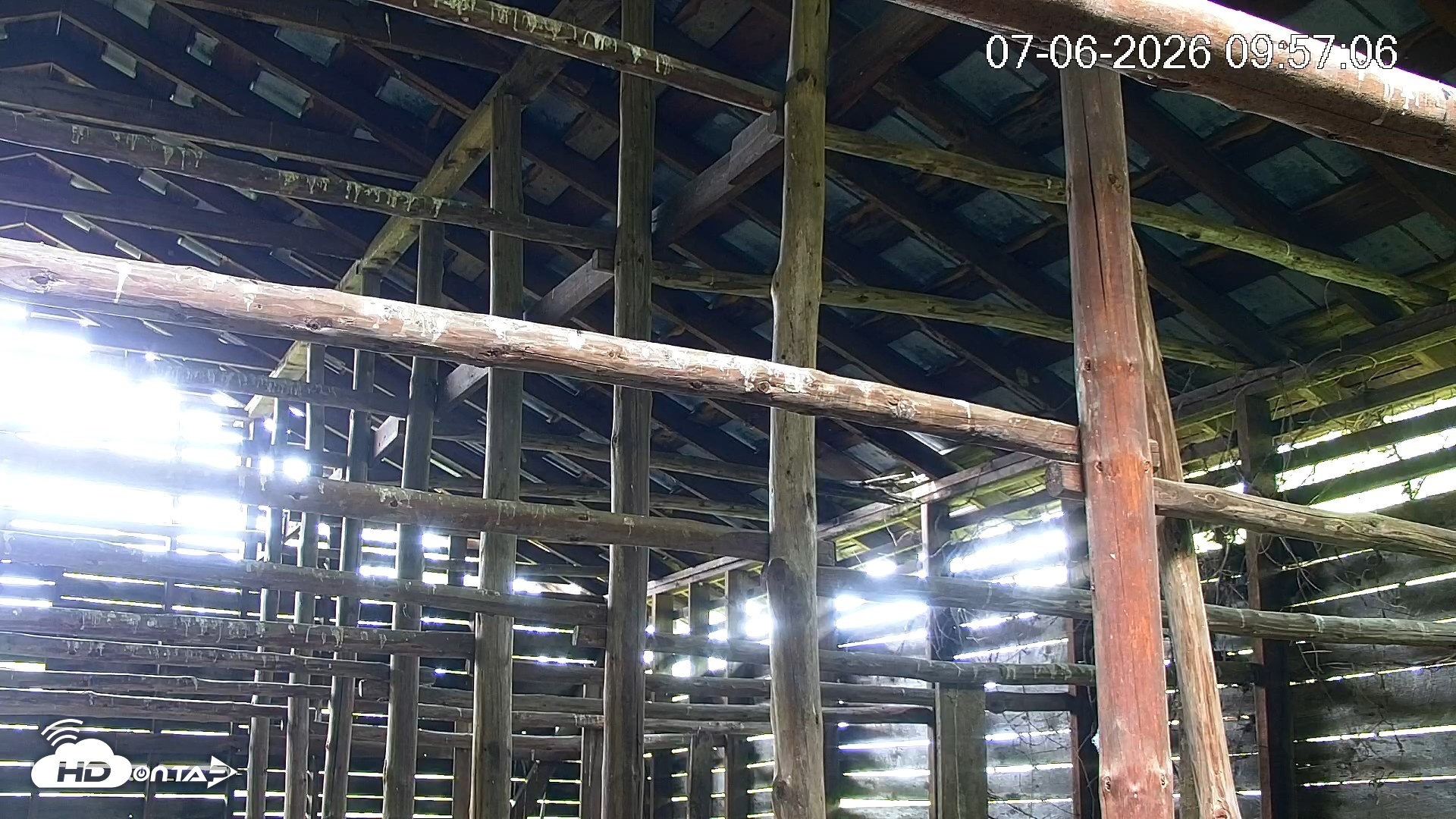Snapshot of North Carolina Barn Owls Live Cam taken Jul 6, 2026, 9:58am EDT