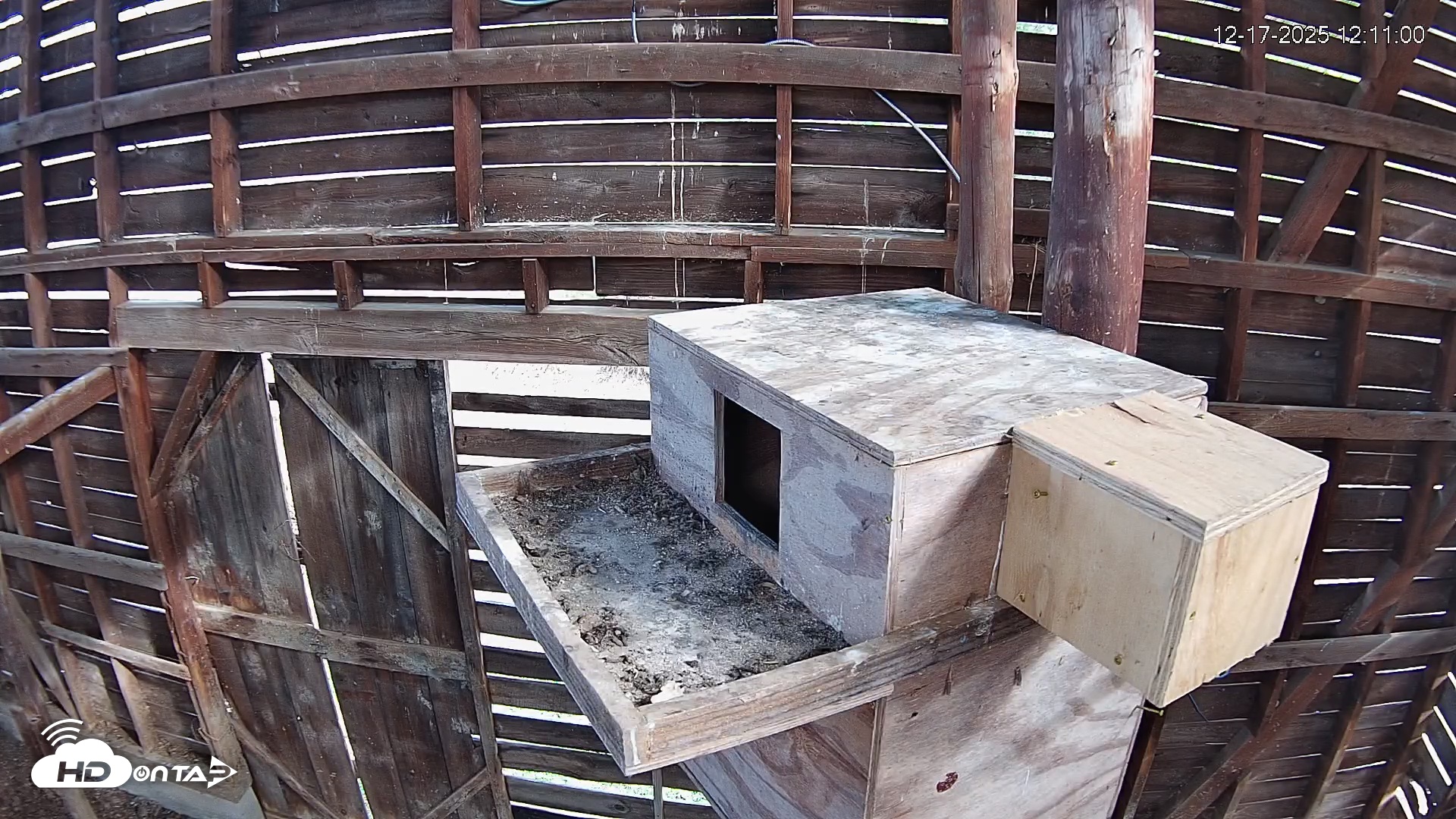 Snapshot of North Carolina Barn Owls Live Cam taken Dec 17, 2025, 12:11pm EST