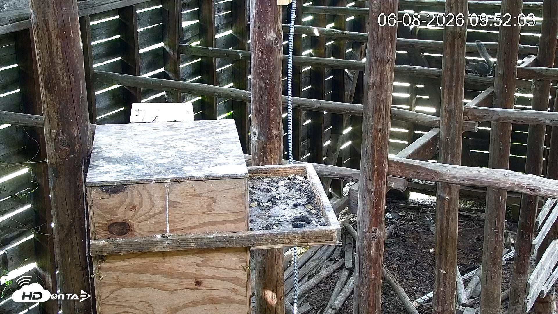 Snapshot of North Carolina Barn Owls Live Cam taken Jun 8, 2026, 9:52am EDT