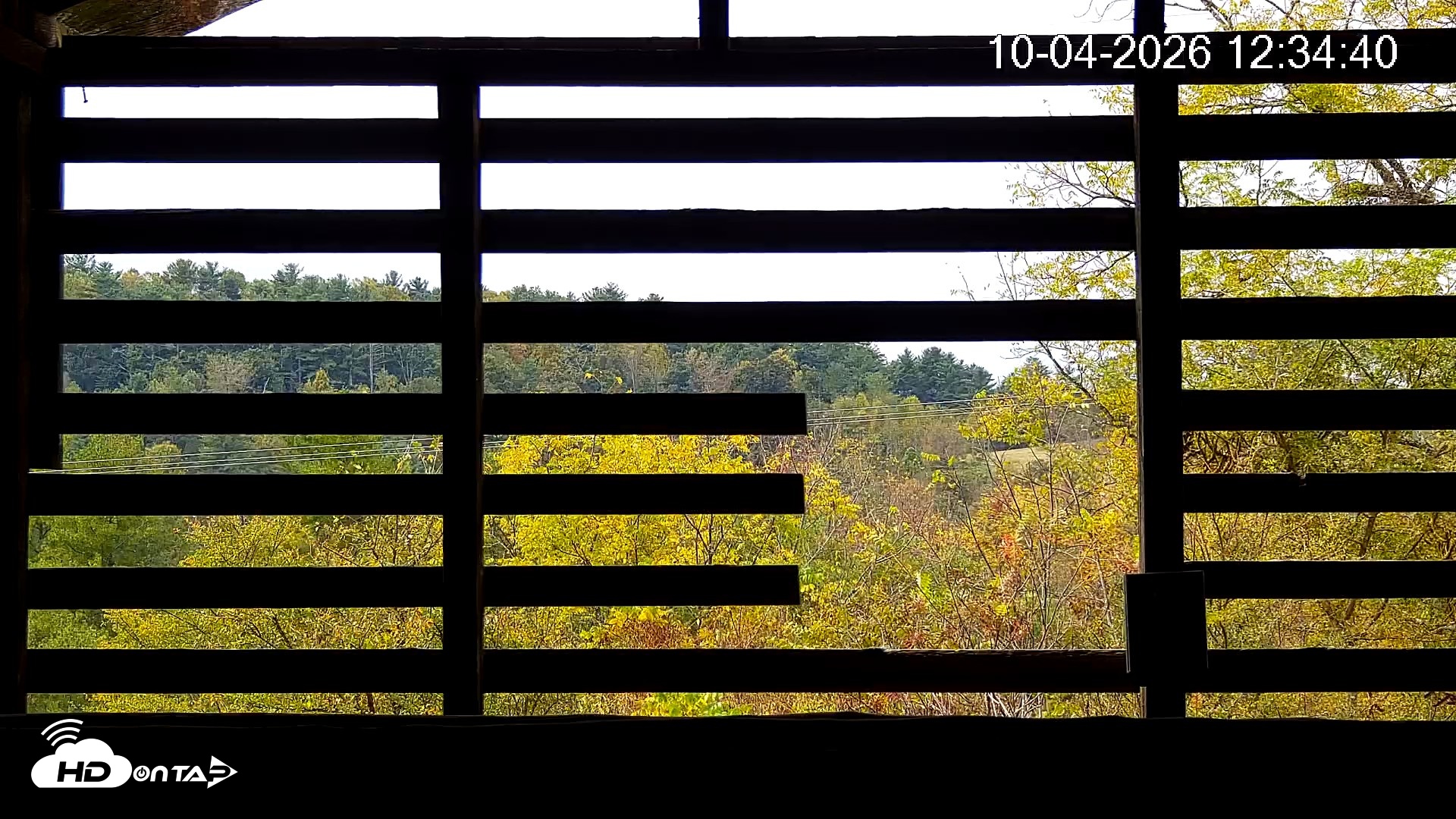 Snapshot of North Carolina Barn Owls Live Cam taken Oct 4, 2026, 12:35pm EDT