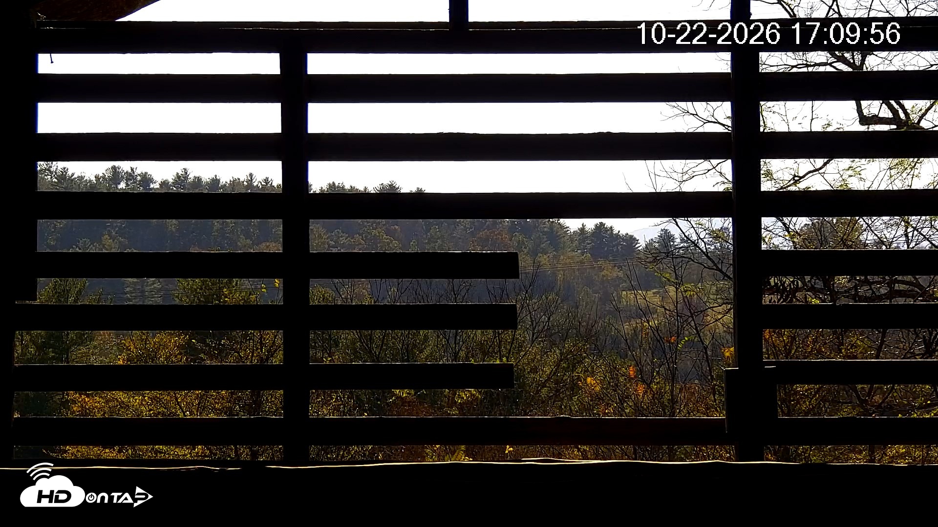 Snapshot of North Carolina Barn Owls Live Cam taken Oct 22, 2026, 5:10pm EDT