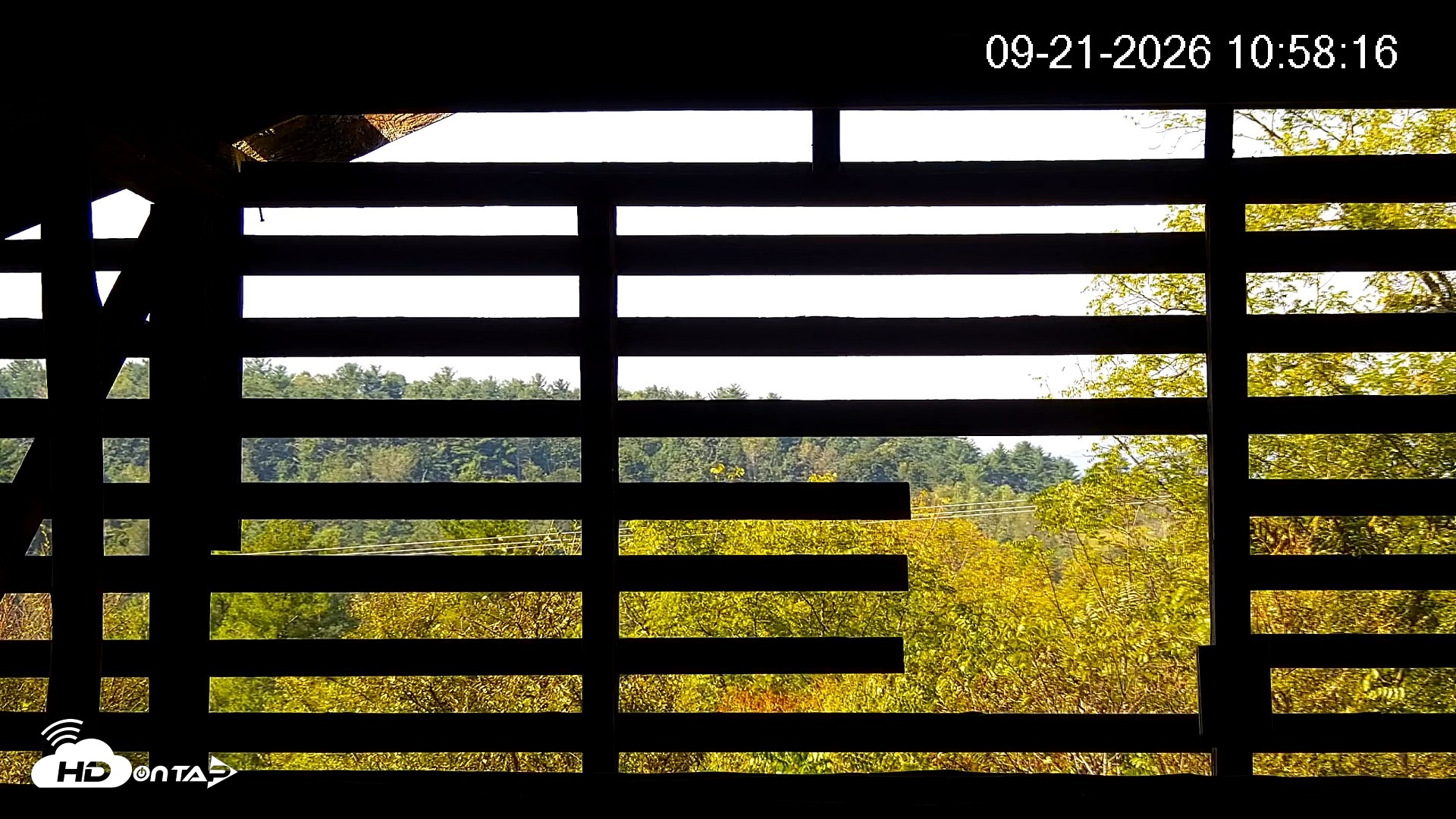 Snapshot of North Carolina Barn Owls Live Cam taken Sep 21, 2026, 10:58am EDT