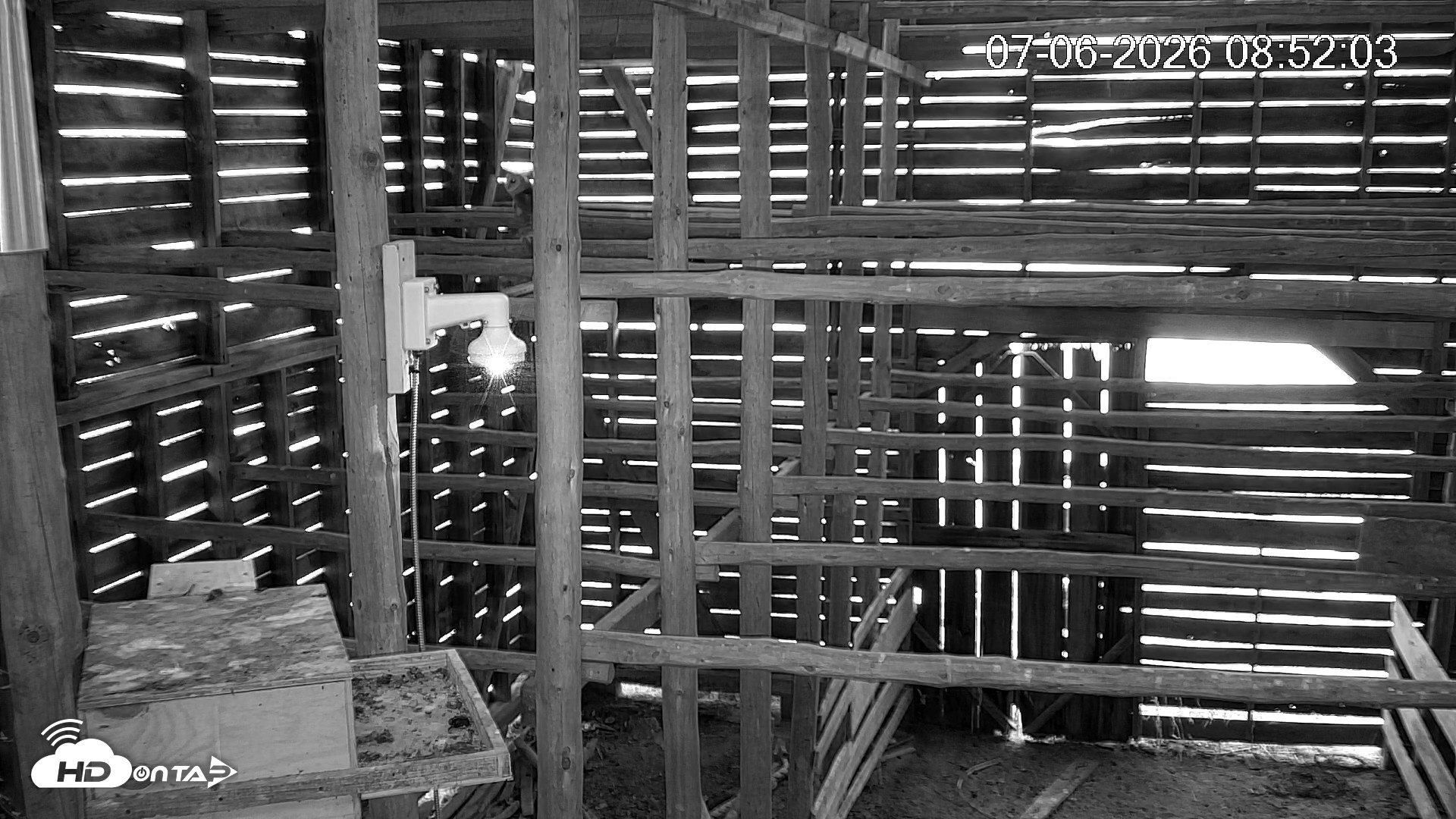 Snapshot of North Carolina Barn Owls Live Cam taken Jul 6, 2026, 8:53am EDT