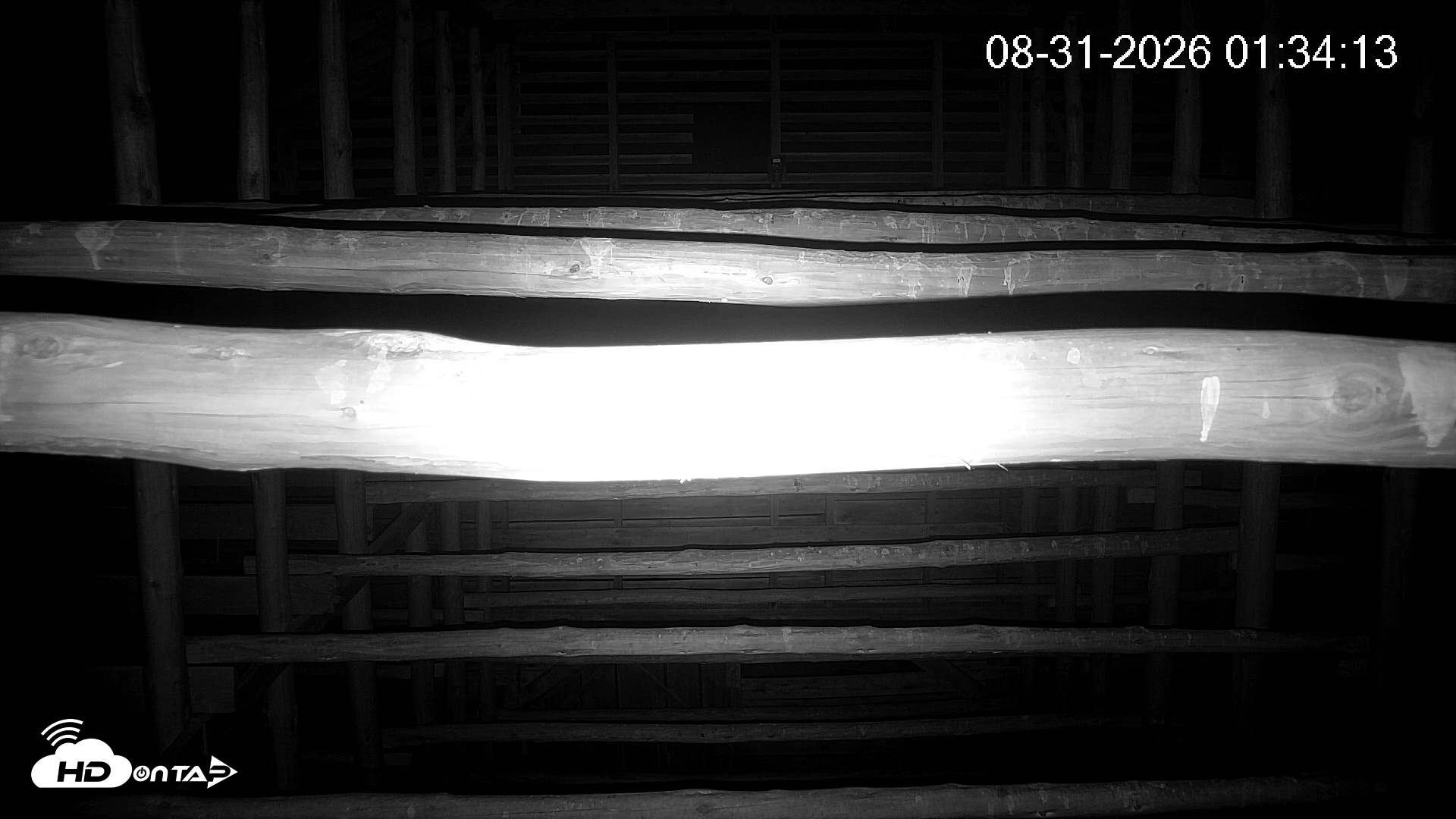 Snapshot of North Carolina Barn Owls Live Cam taken Aug 31, 2026, 1:34am EDT