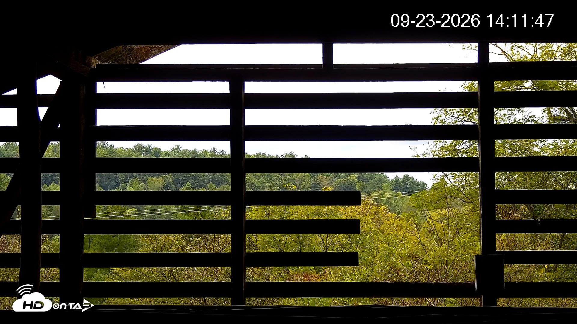 Snapshot of North Carolina Barn Owls Live Cam taken Sep 23, 2026, 2:12pm EDT