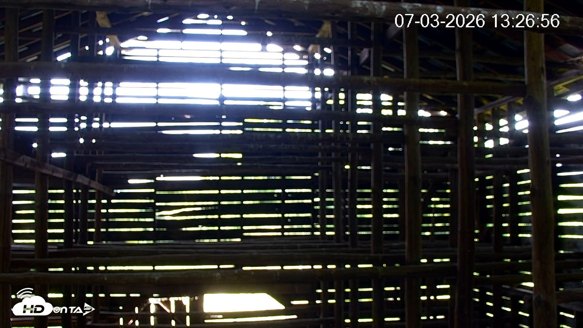 Snapshot of North Carolina Barn Owls Live Cam taken Jul 3, 2026, 1:27pm EDT