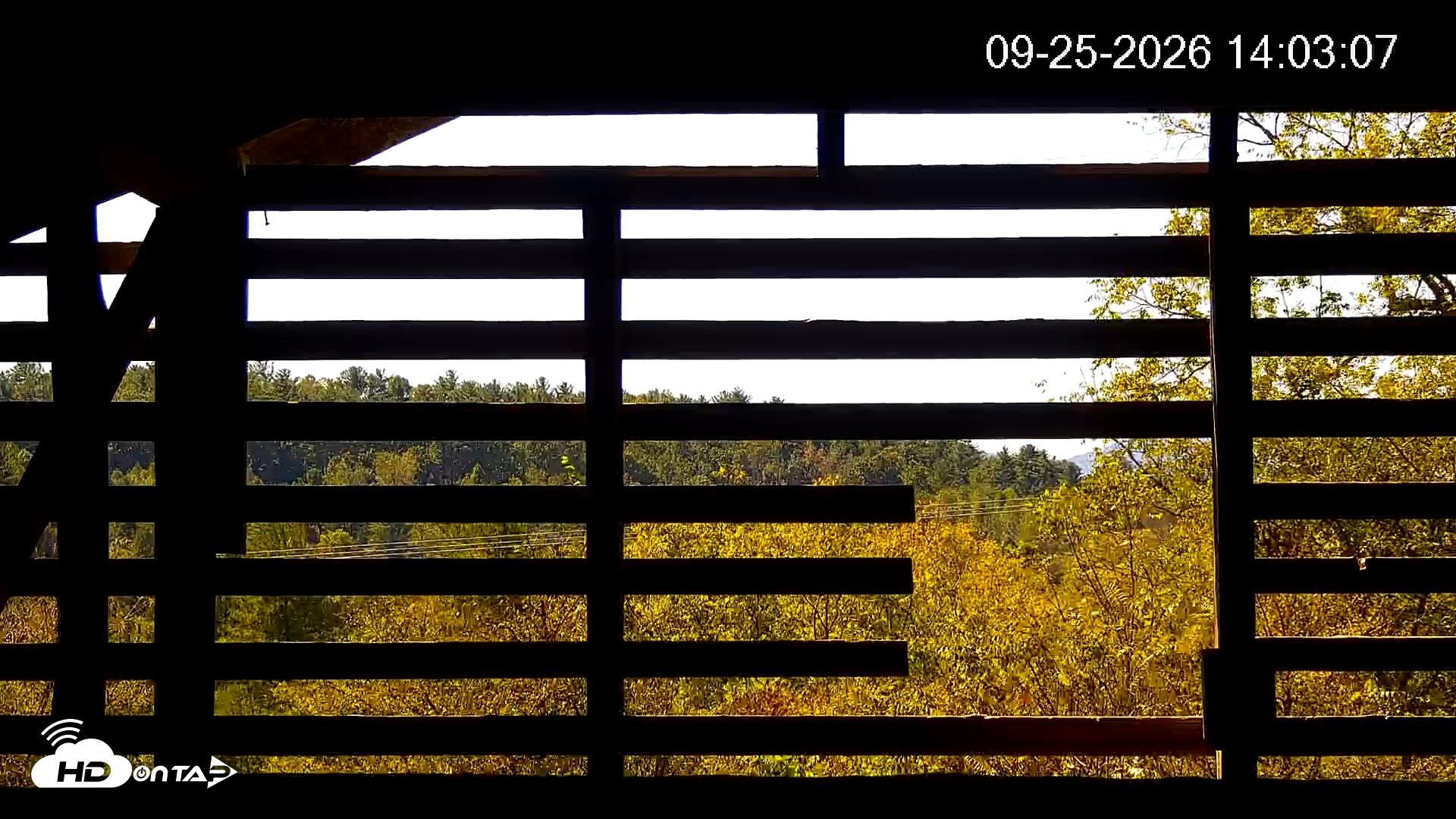 Snapshot of North Carolina Barn Owls Live Cam taken Sep 25, 2026, 2:04pm EDT