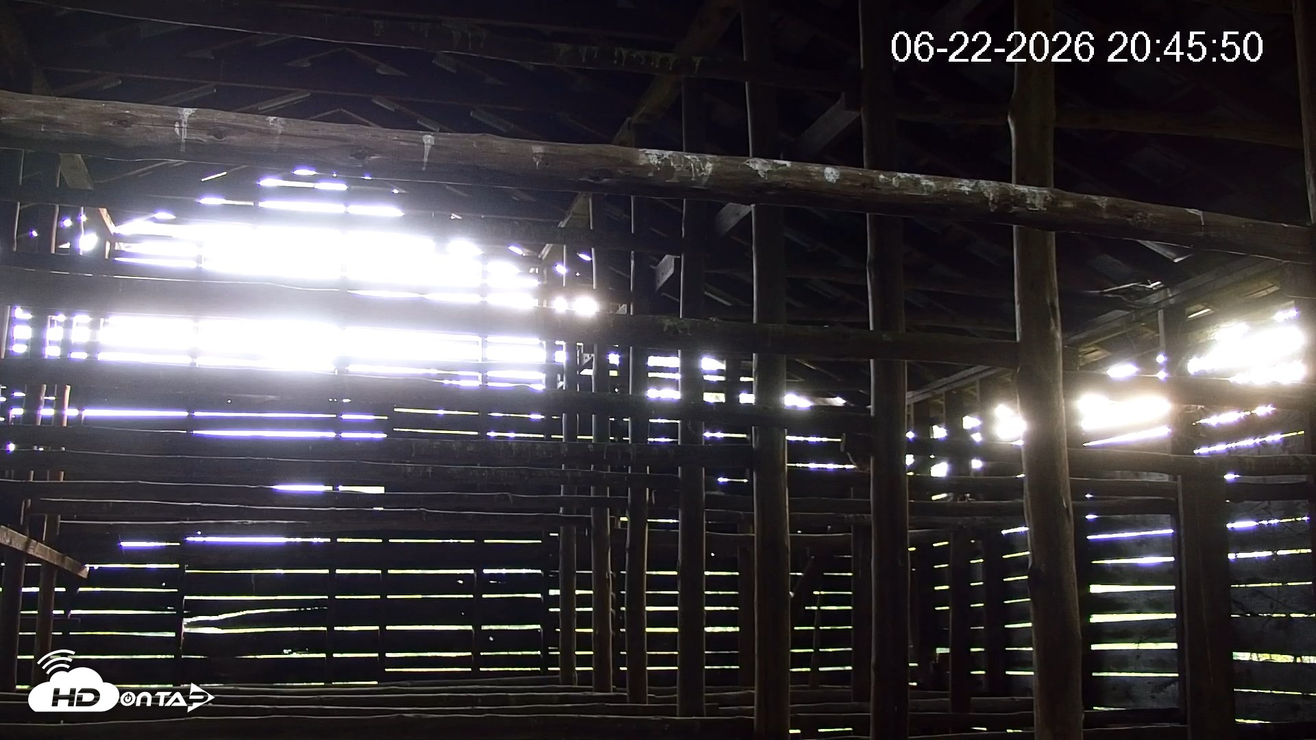 Snapshot of North Carolina Barn Owls Live Cam taken Jun 22, 2026, 8:48pm EDT