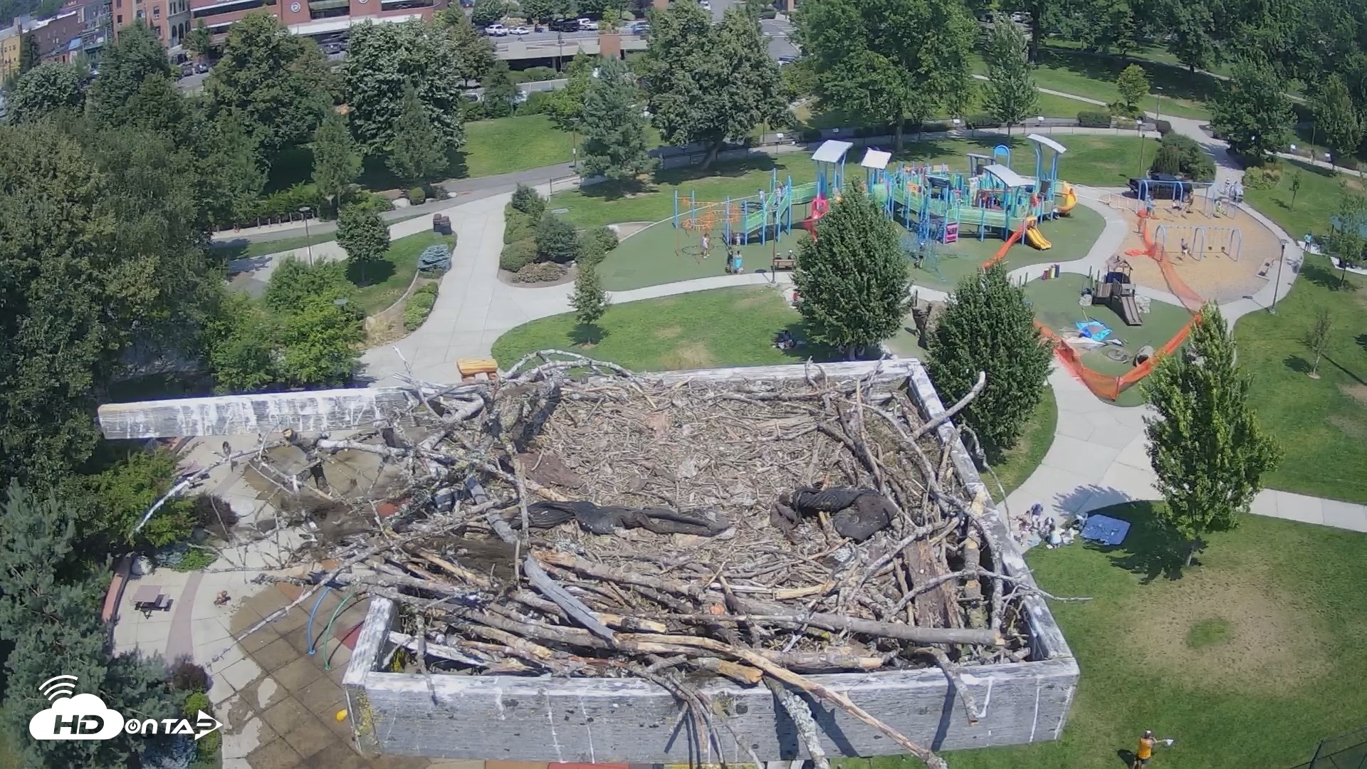 Snapshot of Coeur d'Alene Idaho Osprey Nest Live Cam taken Jul 28, 2026, 12:38pm PDT