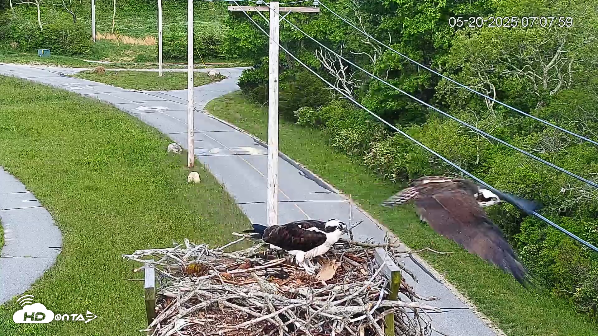 Snapshot of Henry L. Ferguson Museum taken May 20, 2025, 7:39am EDT