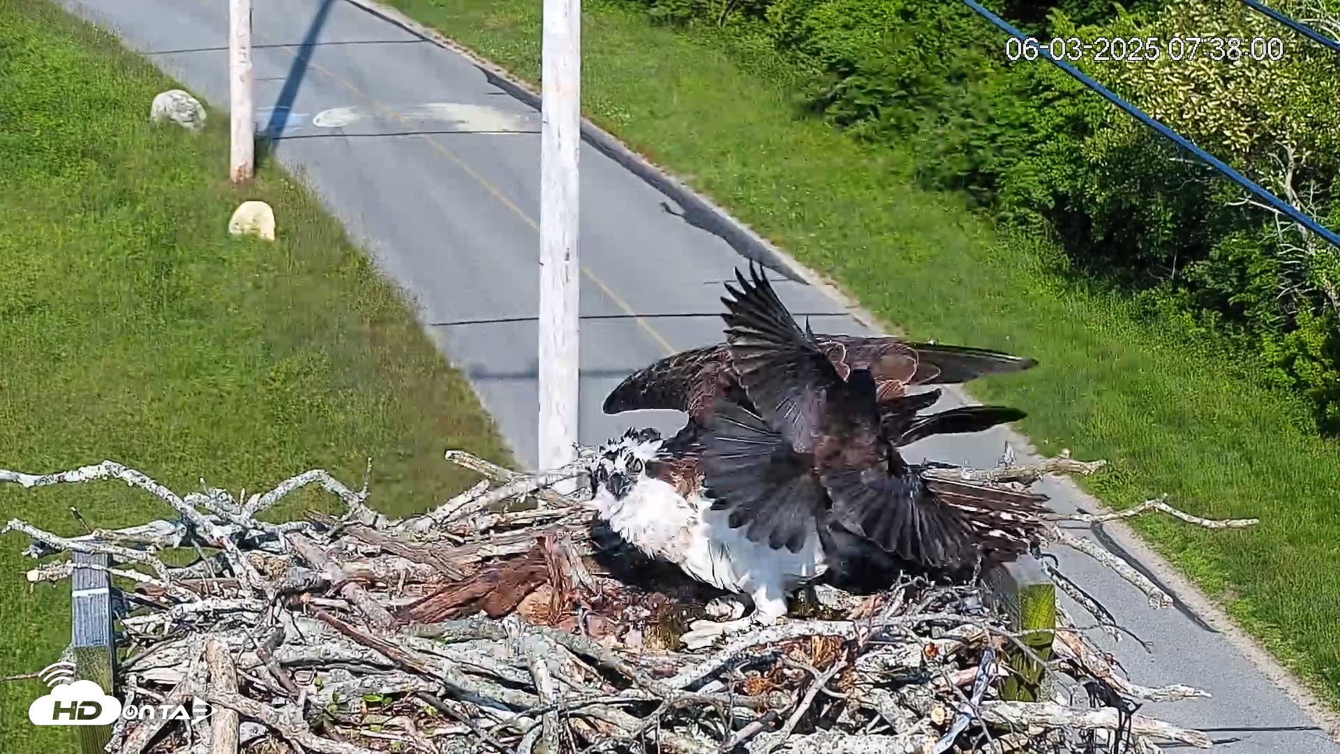 Snapshot of Henry L. Ferguson Museum taken Jun 3, 2025, 7:42am EDT
