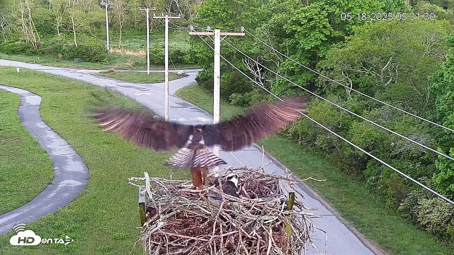 Snapshot of Henry L. Ferguson Museum taken May 18, 2025, 7:41am EDT