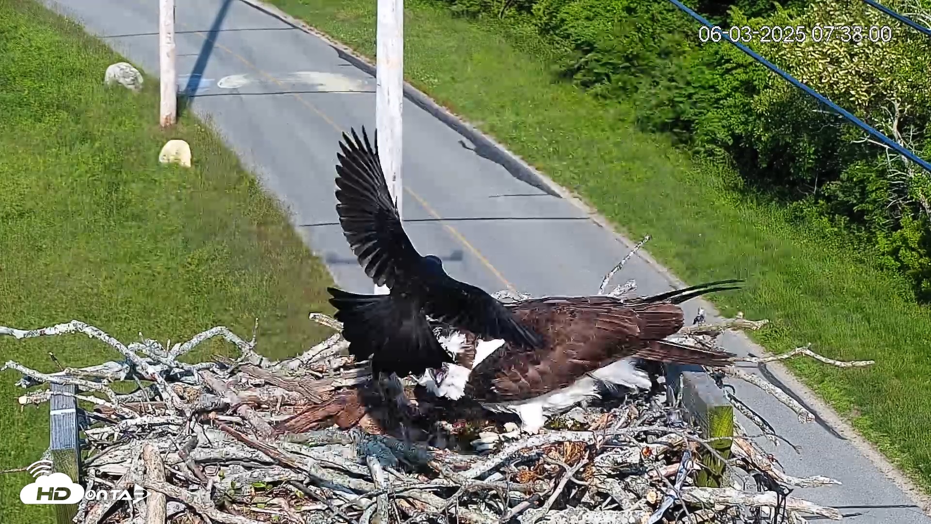 Snapshot of Henry L. Ferguson Museum taken Jun 3, 2025, 7:41am EDT