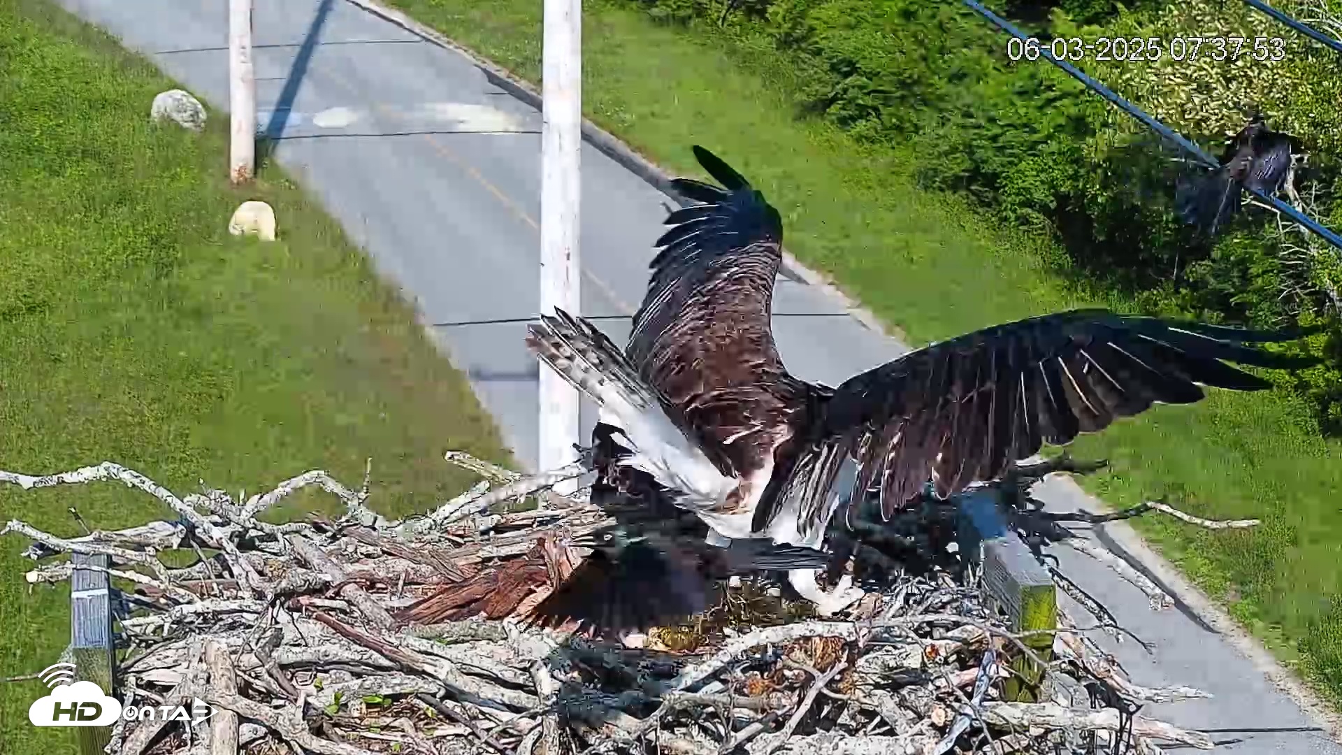 Snapshot of Henry L. Ferguson Museum taken Jun 3, 2025, 7:41am EDT