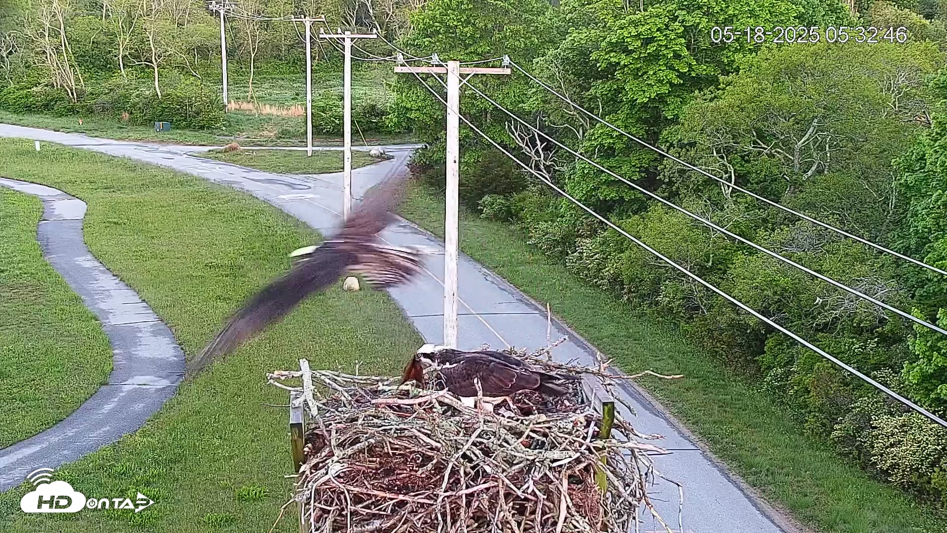 Snapshot of Henry L. Ferguson Museum taken May 18, 2025, 7:45am EDT