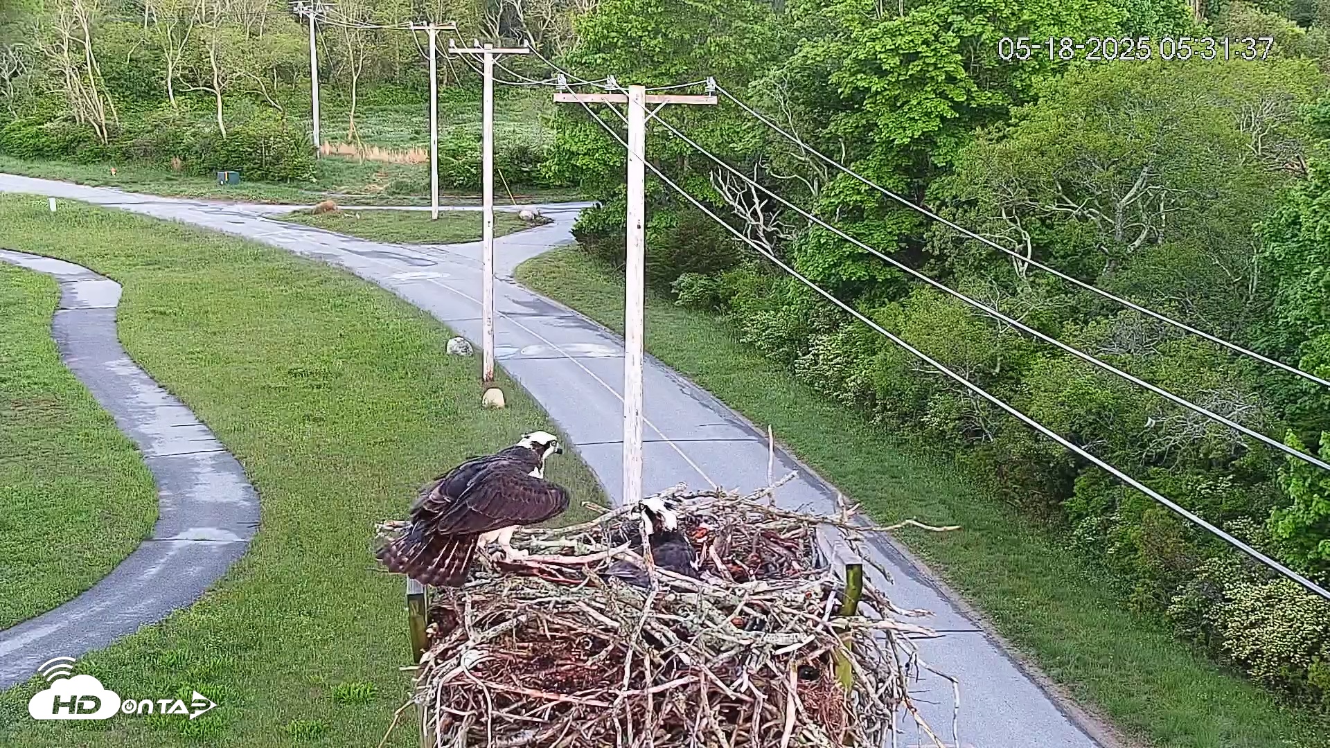 Snapshot of Henry L. Ferguson Museum taken May 18, 2025, 7:42am EDT