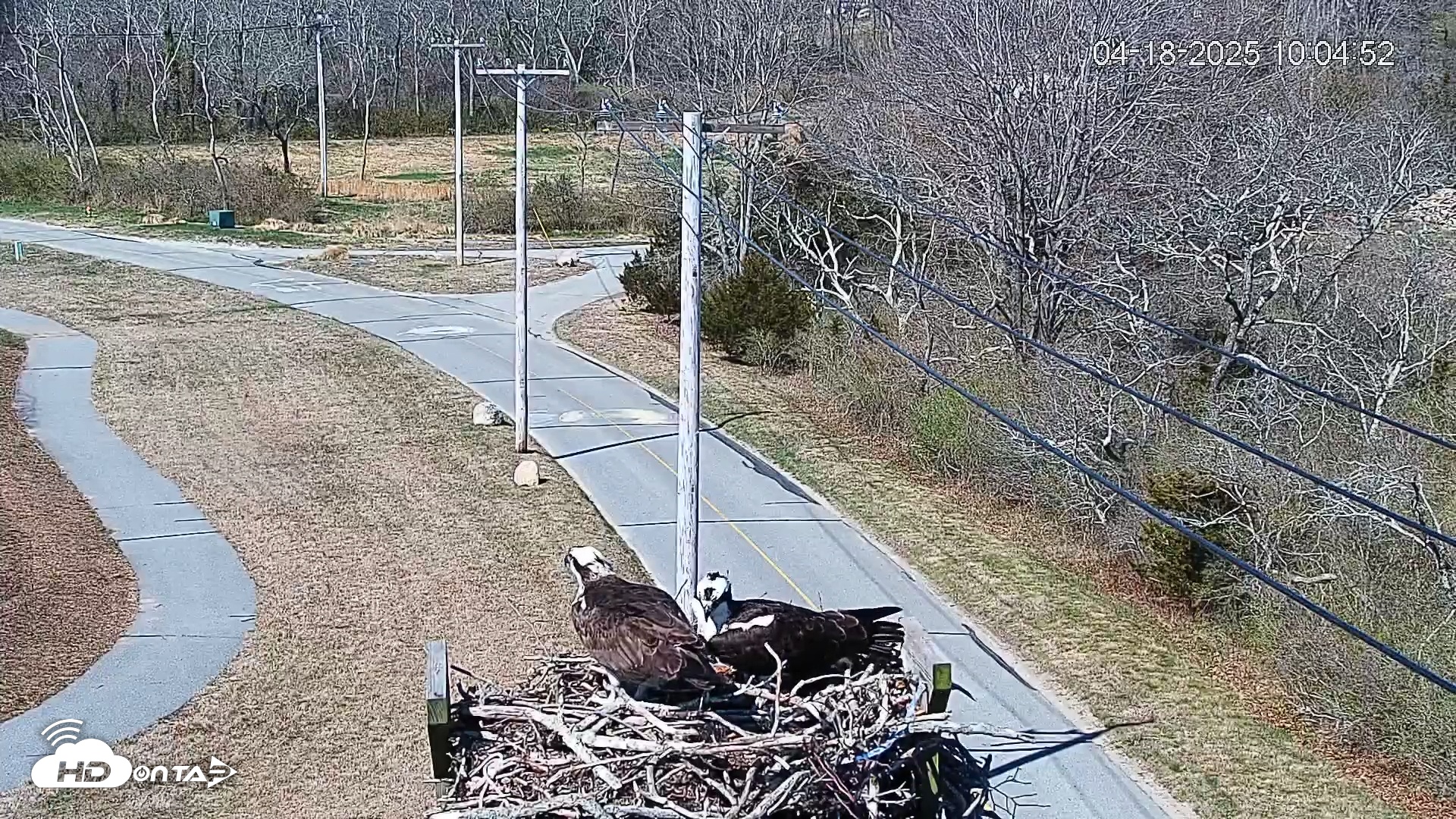 Snapshot of Henry L. Ferguson Museum taken Apr 18, 2025, 10:05am EDT