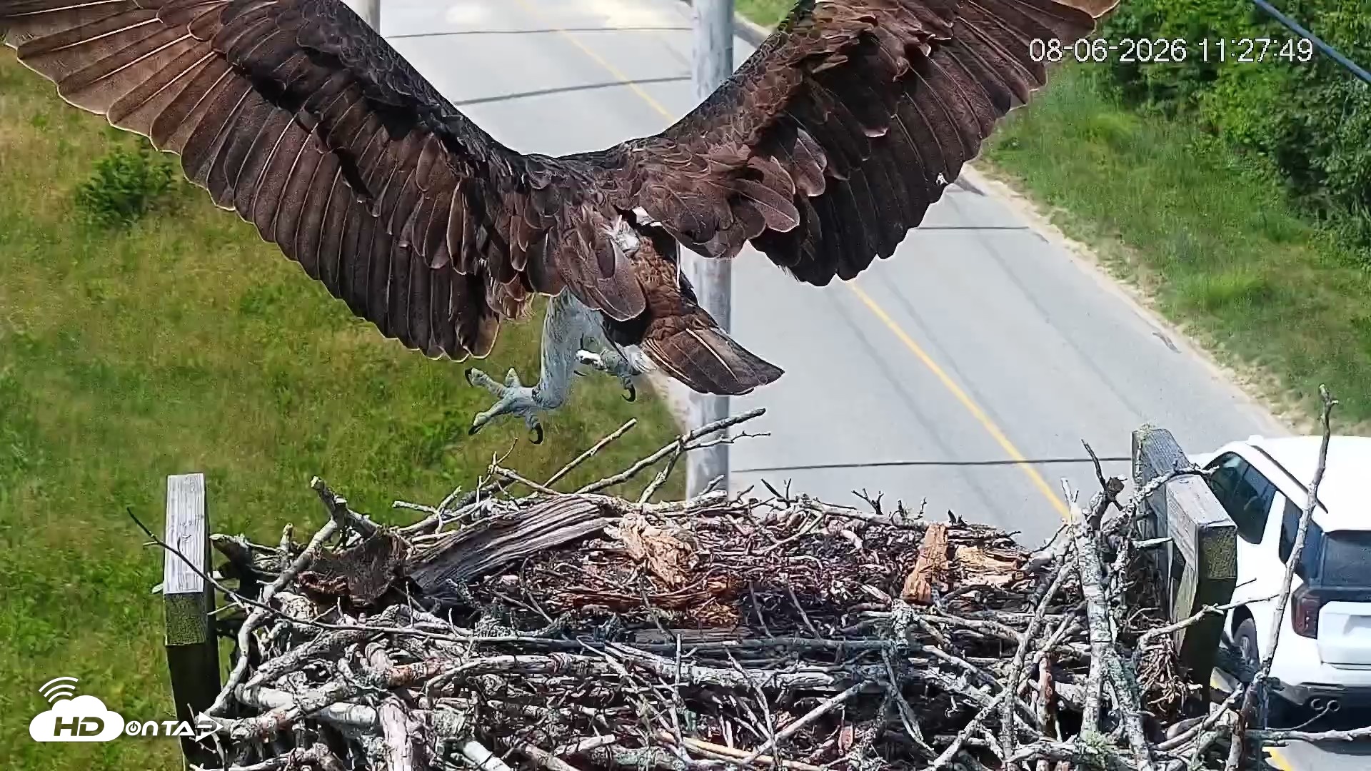Snapshot of Fishers Island Middle Farms Ospreys Live Webcam taken Aug 6, 2026, 6:20pm EDT