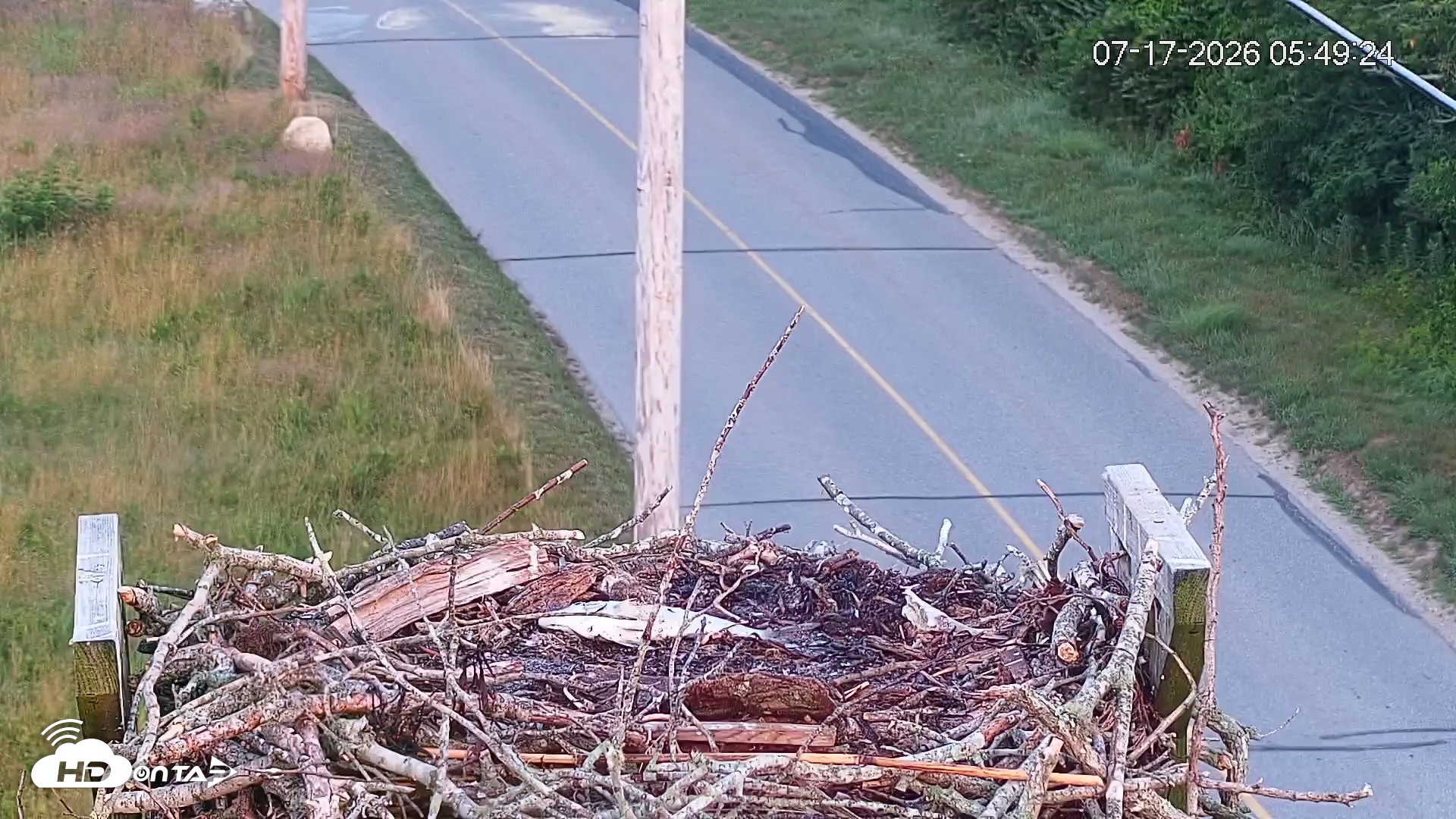 Snapshot of Fishers Island Middle Farms Ospreys Live Webcam taken Jul 17, 2026, 5:50am EDT