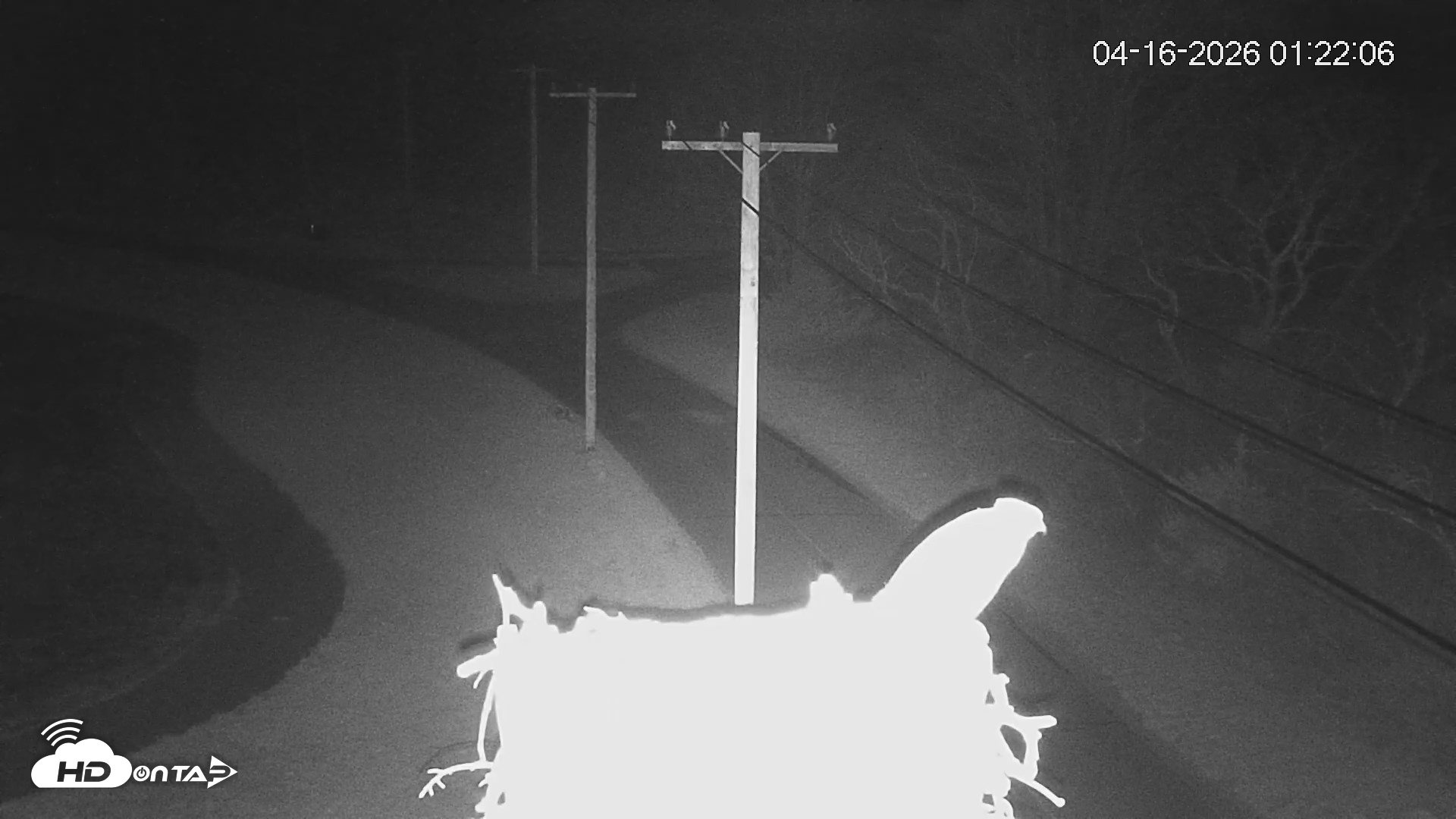 Snapshot of Fishers Island Middle Farms Ospreys Live Webcam taken Apr 16, 2026, 1:22am EDT