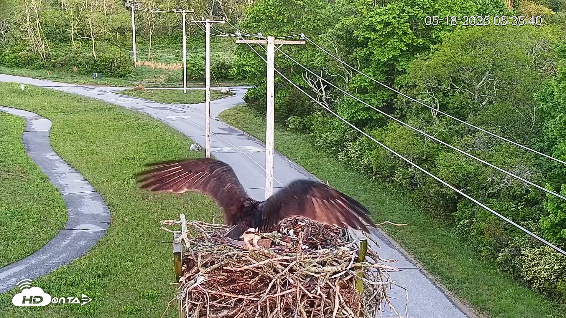 Snapshot of Henry L. Ferguson Museum taken May 18, 2025, 7:50am EDT