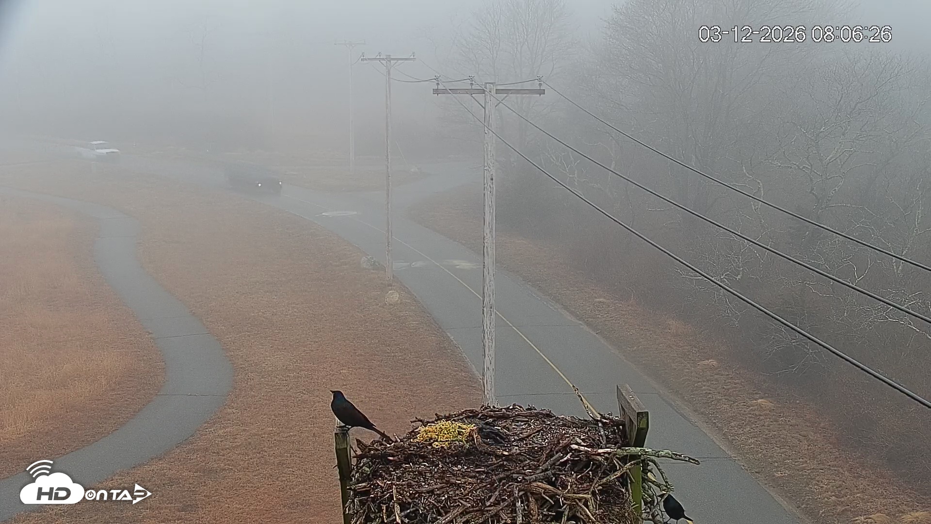 Snapshot of Fishers Island Middle Farms Ospreys Live Webcam taken Mar 12, 2026, 8:08am EDT
