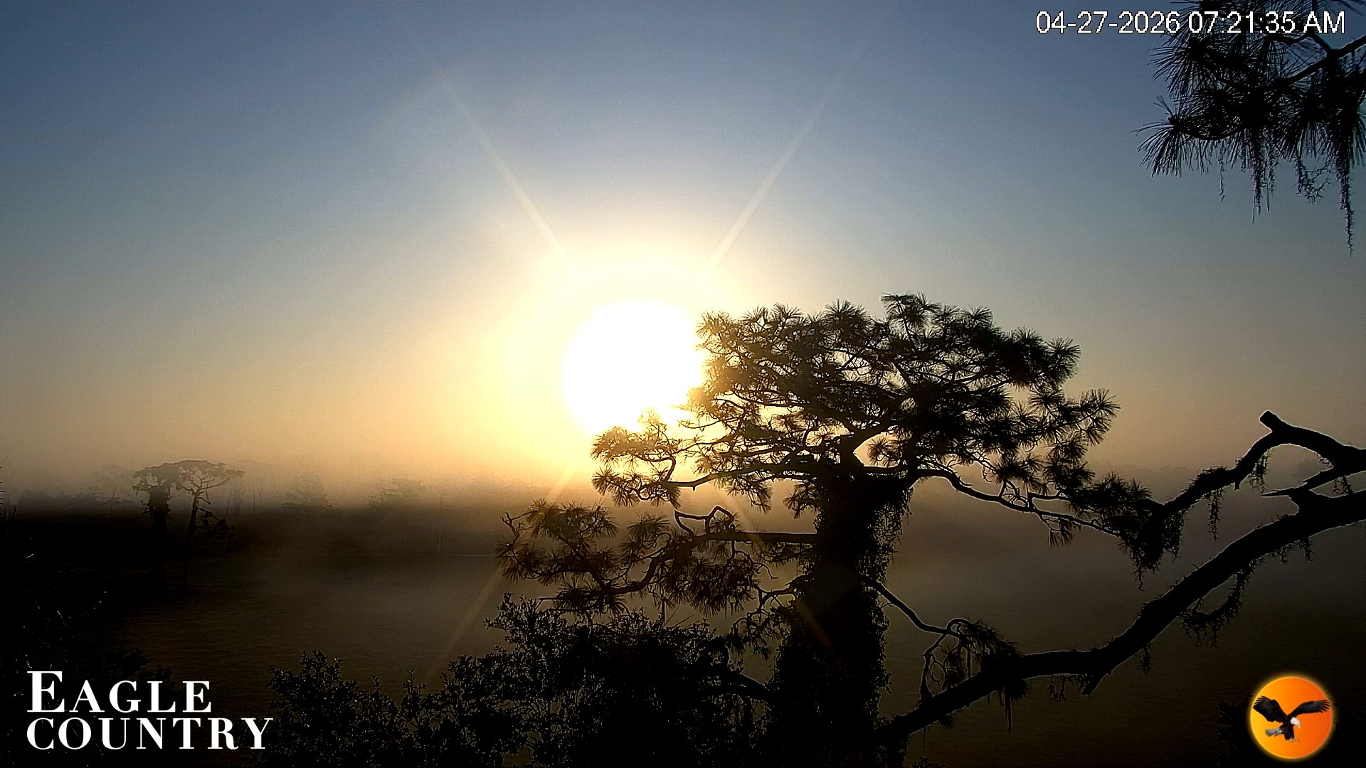 Snapshot of Eagle Country Great Horned Owl Nest Live Cam taken Apr 27, 2026, 7:22am EDT