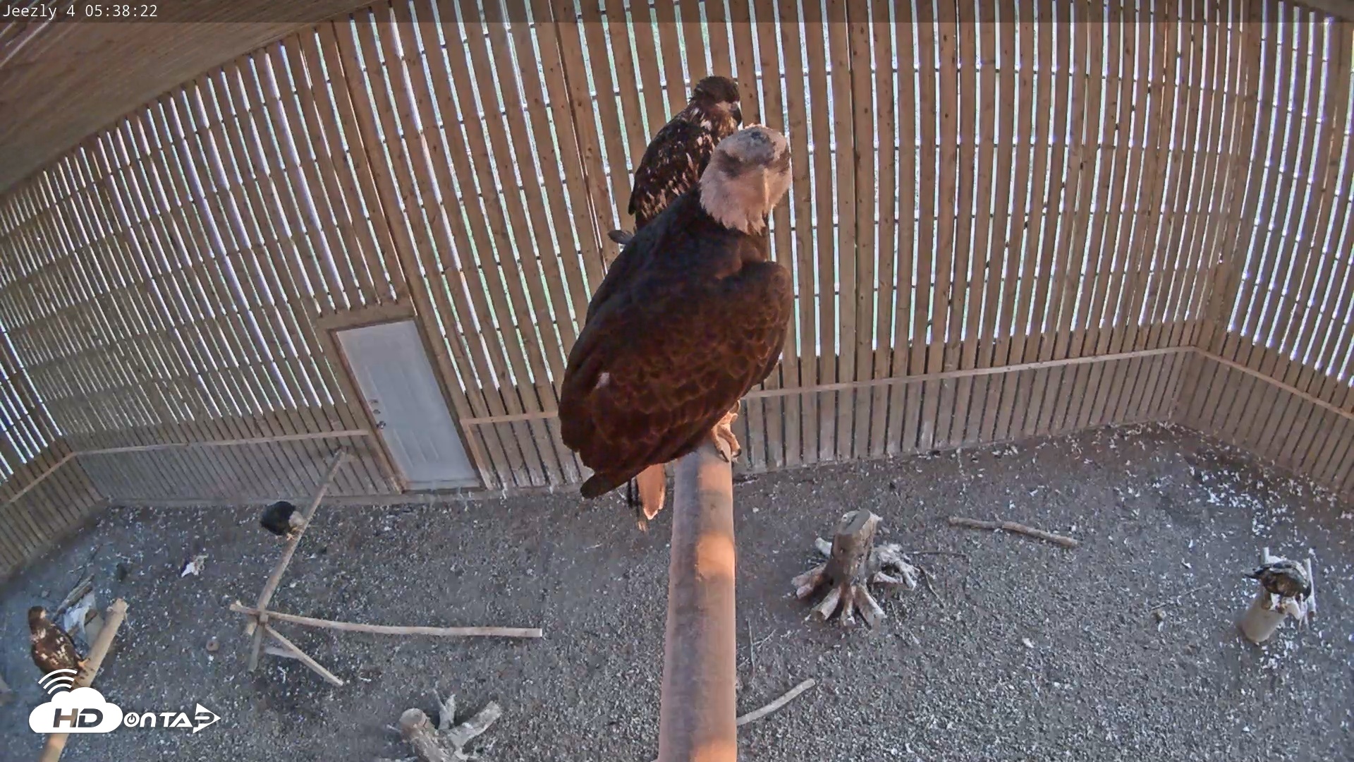 Snapshot of Cobequid Special Unit Raptor Rehab Center taken Jun 5, 2026, 5:39am ADT
