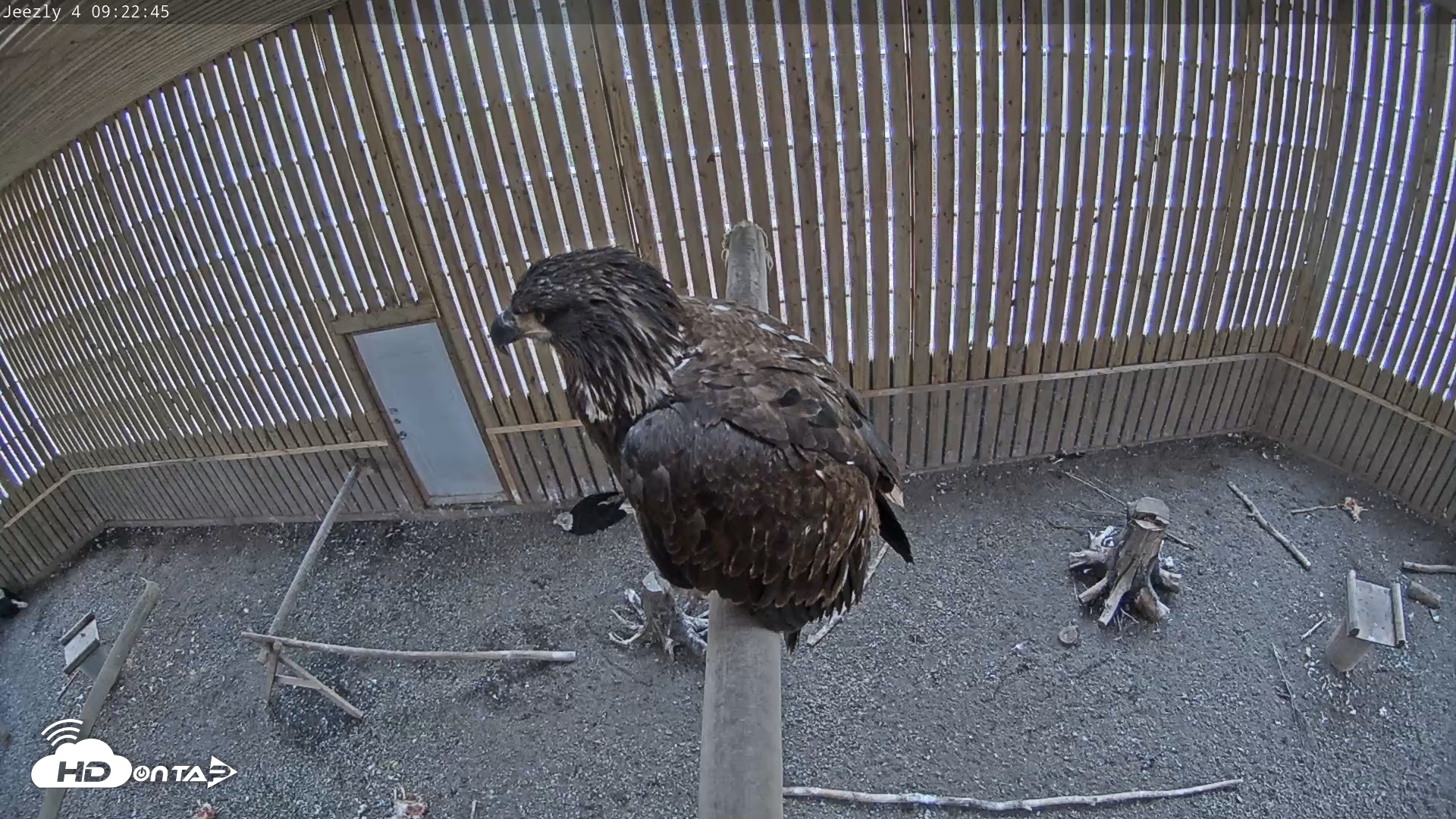 Snapshot of Cobequid Special Unit Raptor Rehab Center taken May 2, 2025, 9:23am ADT