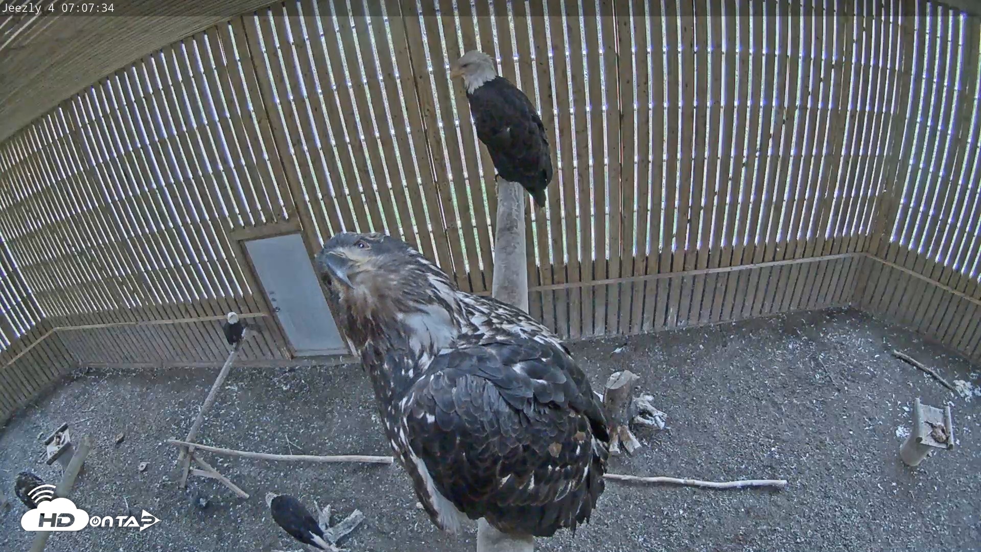 Snapshot of Cobequid Special Unit Raptor Rehab Center taken May 26, 2026, 7:08am ADT