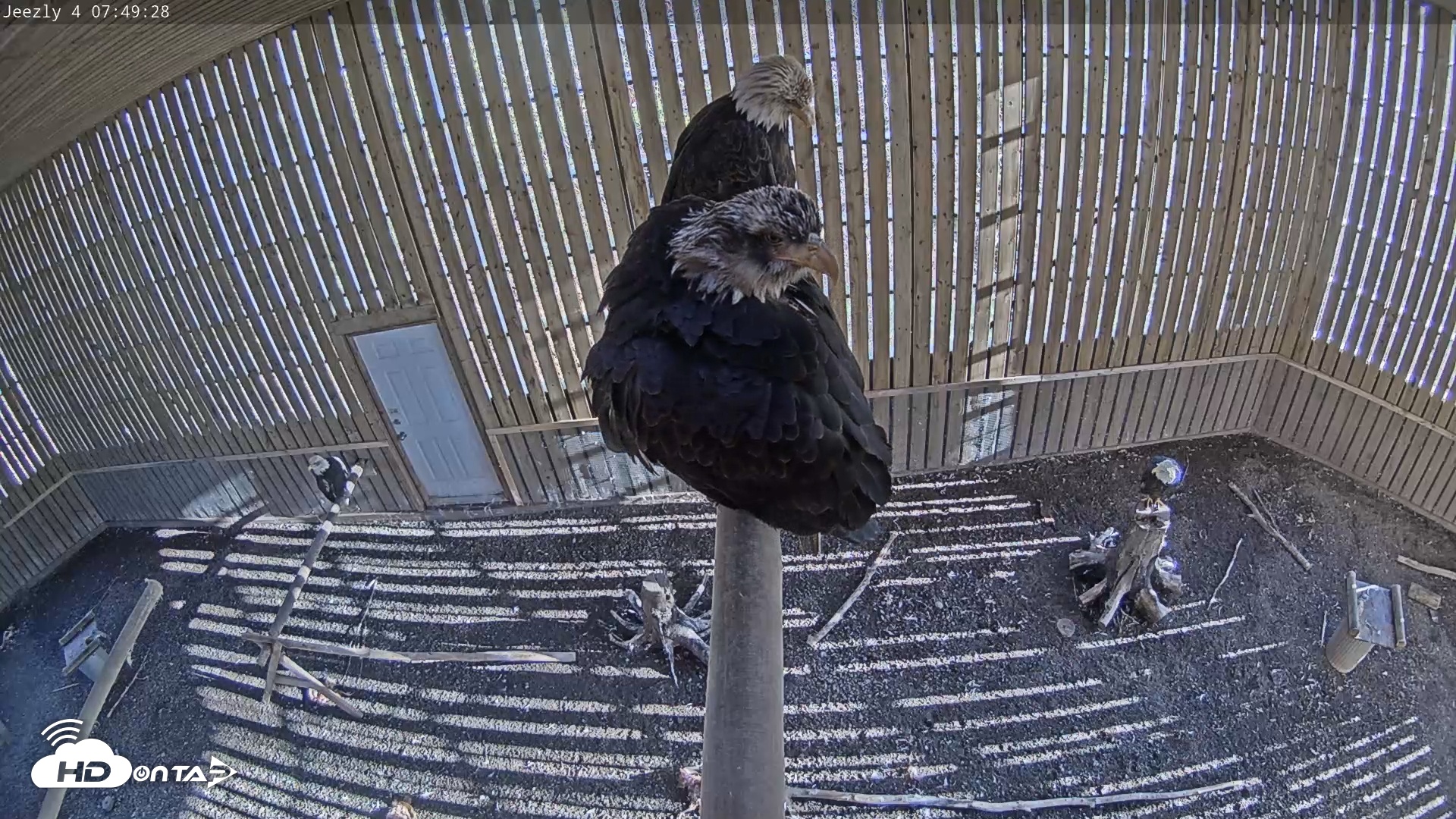 Snapshot of Cobequid Special Unit Raptor Rehab Center taken May 5, 2025, 7:50am ADT