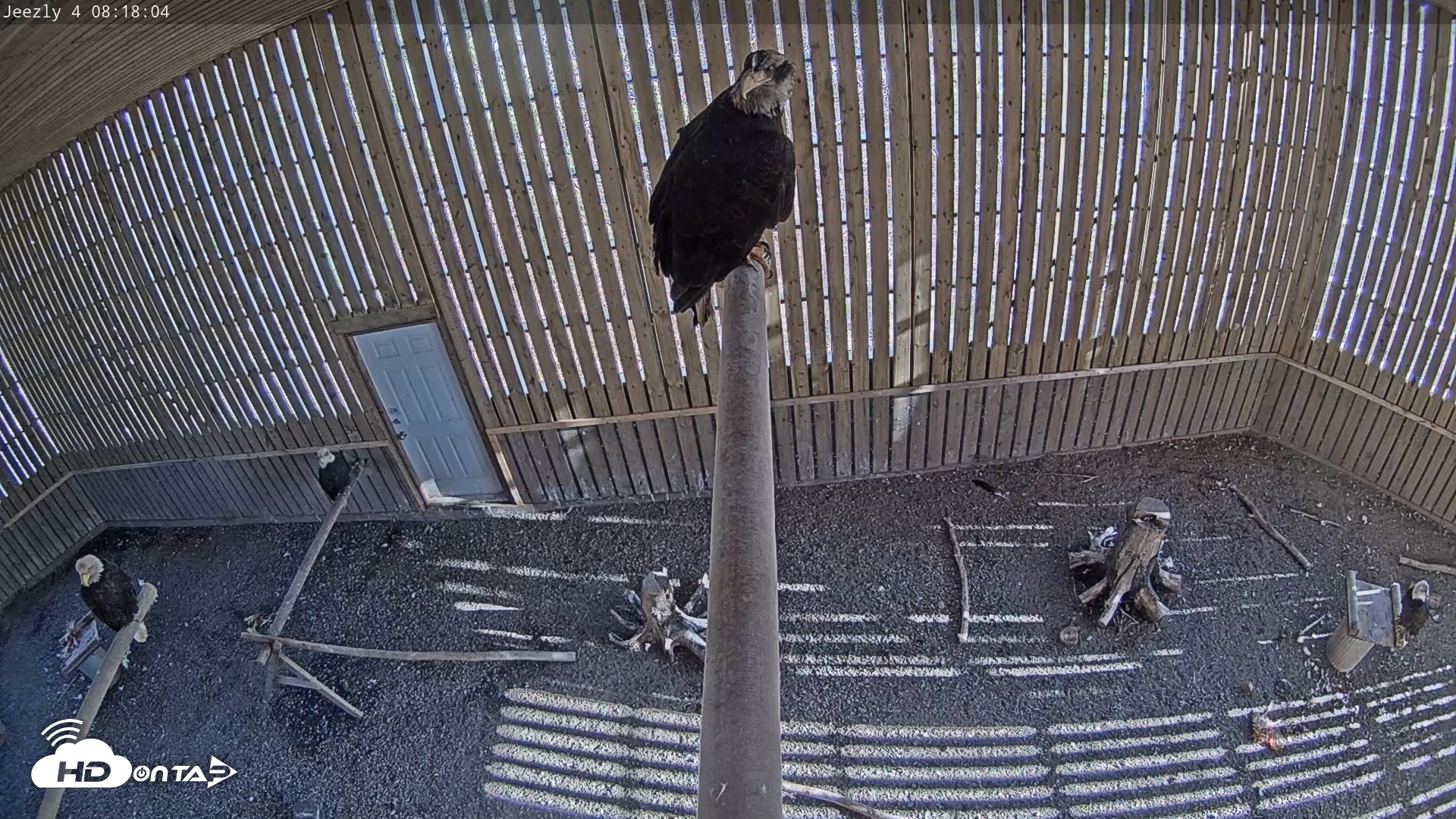 Snapshot of Cobequid Special Unit Raptor Rehab Center taken May 1, 2025, 8:18am ADT