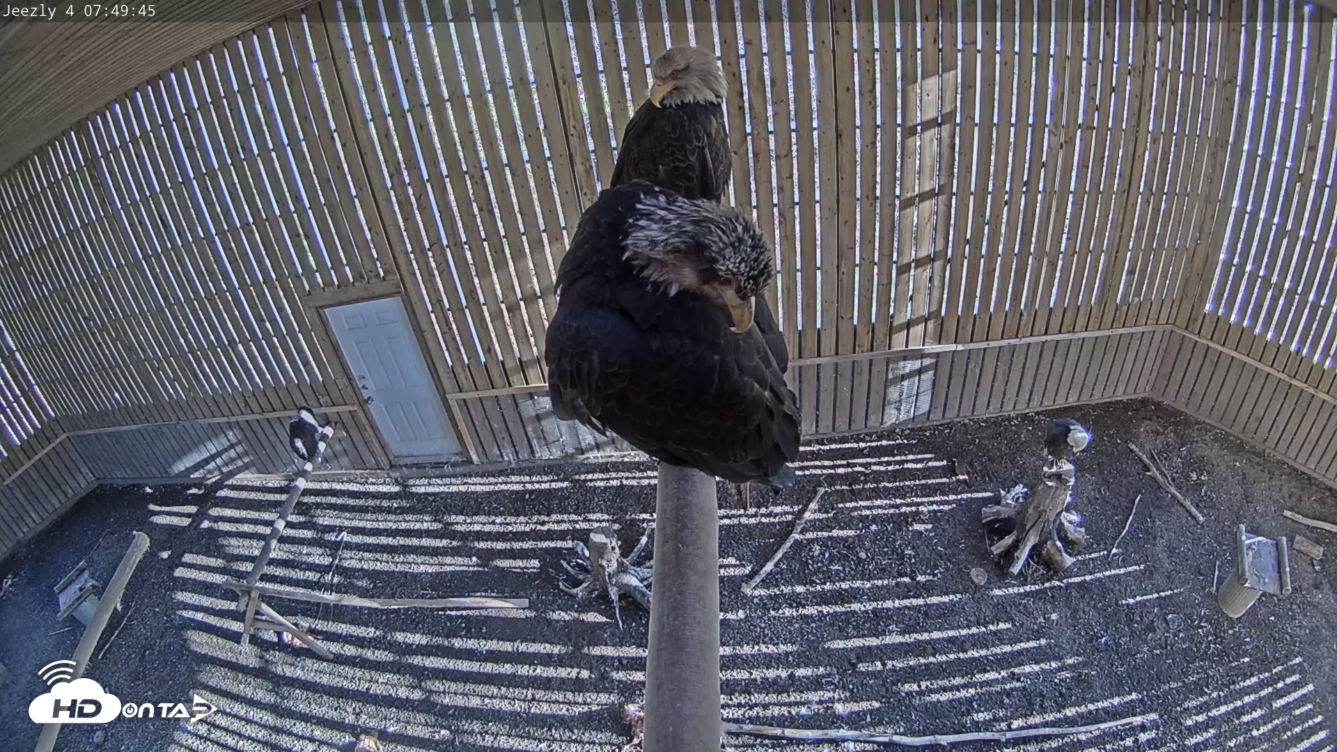 Snapshot of Cobequid Special Unit Raptor Rehab Center taken May 5, 2025, 7:50am ADT