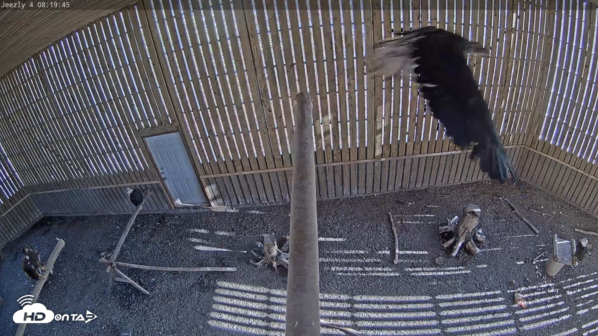 Snapshot of Cobequid Special Unit Raptor Rehab Center taken May 1, 2025, 8:20am ADT