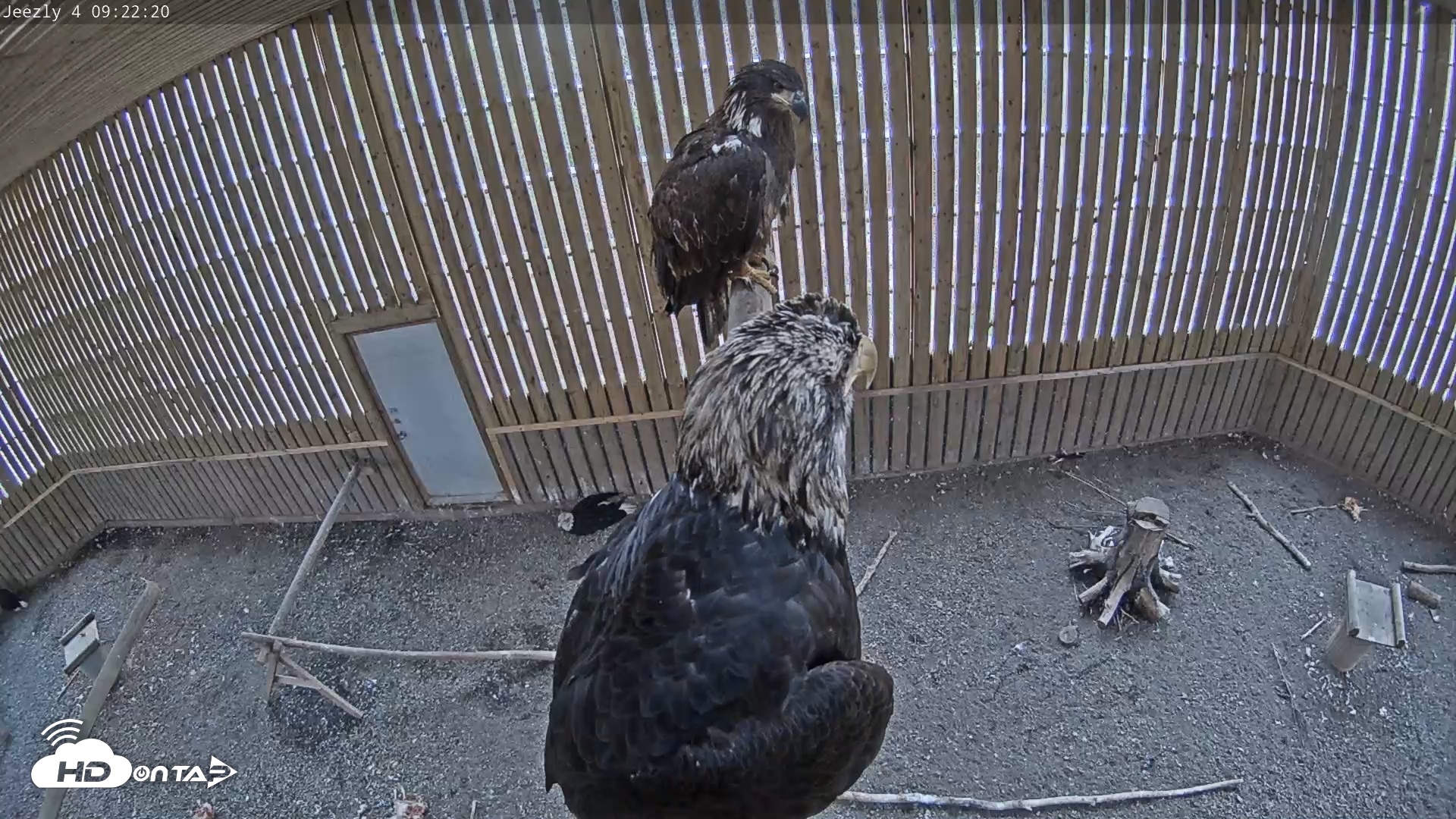 Snapshot of Cobequid Special Unit Raptor Rehab Center taken May 2, 2025, 9:23am ADT