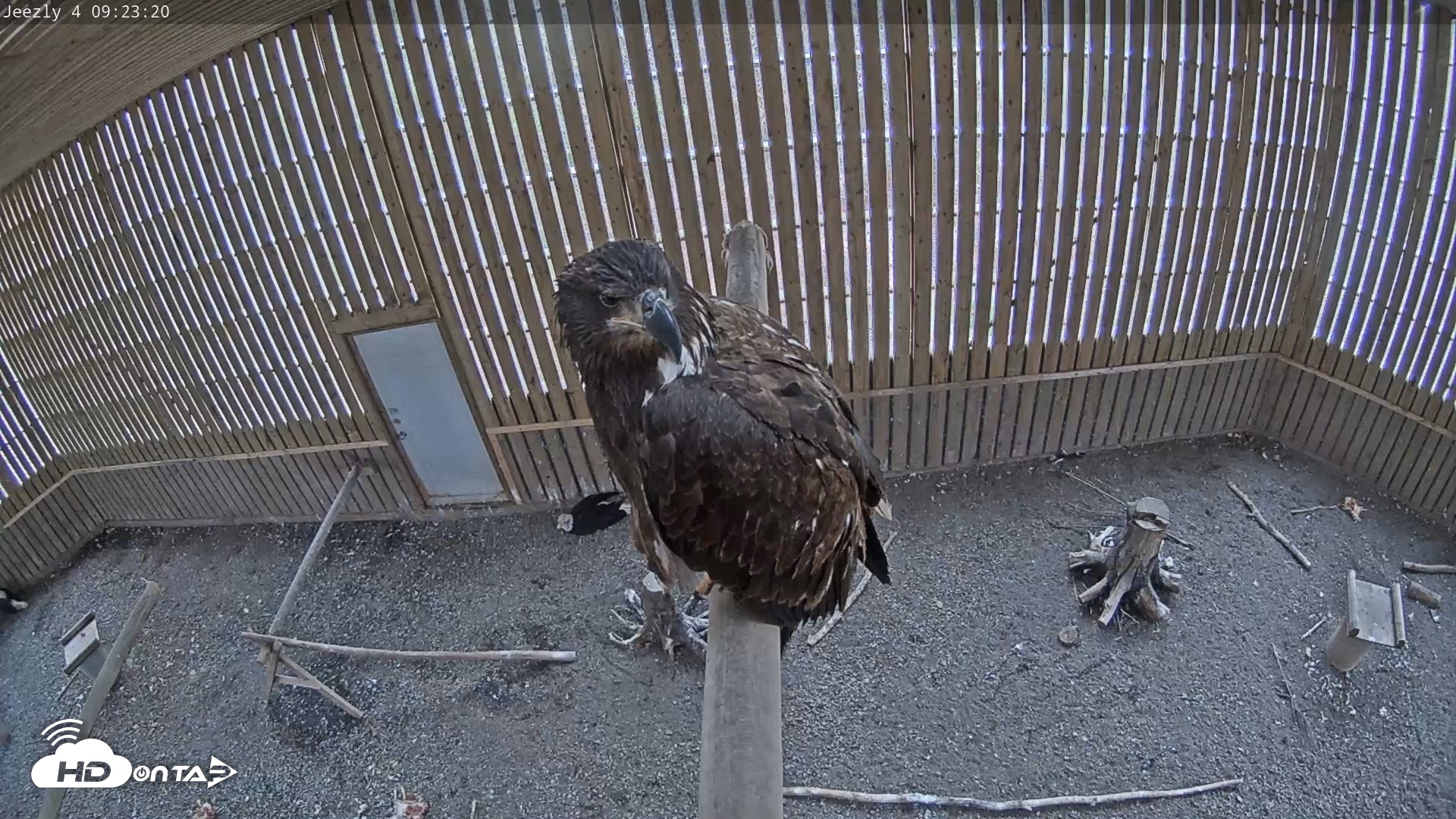 Snapshot of Cobequid Special Unit Raptor Rehab Center taken May 2, 2025, 9:24am ADT