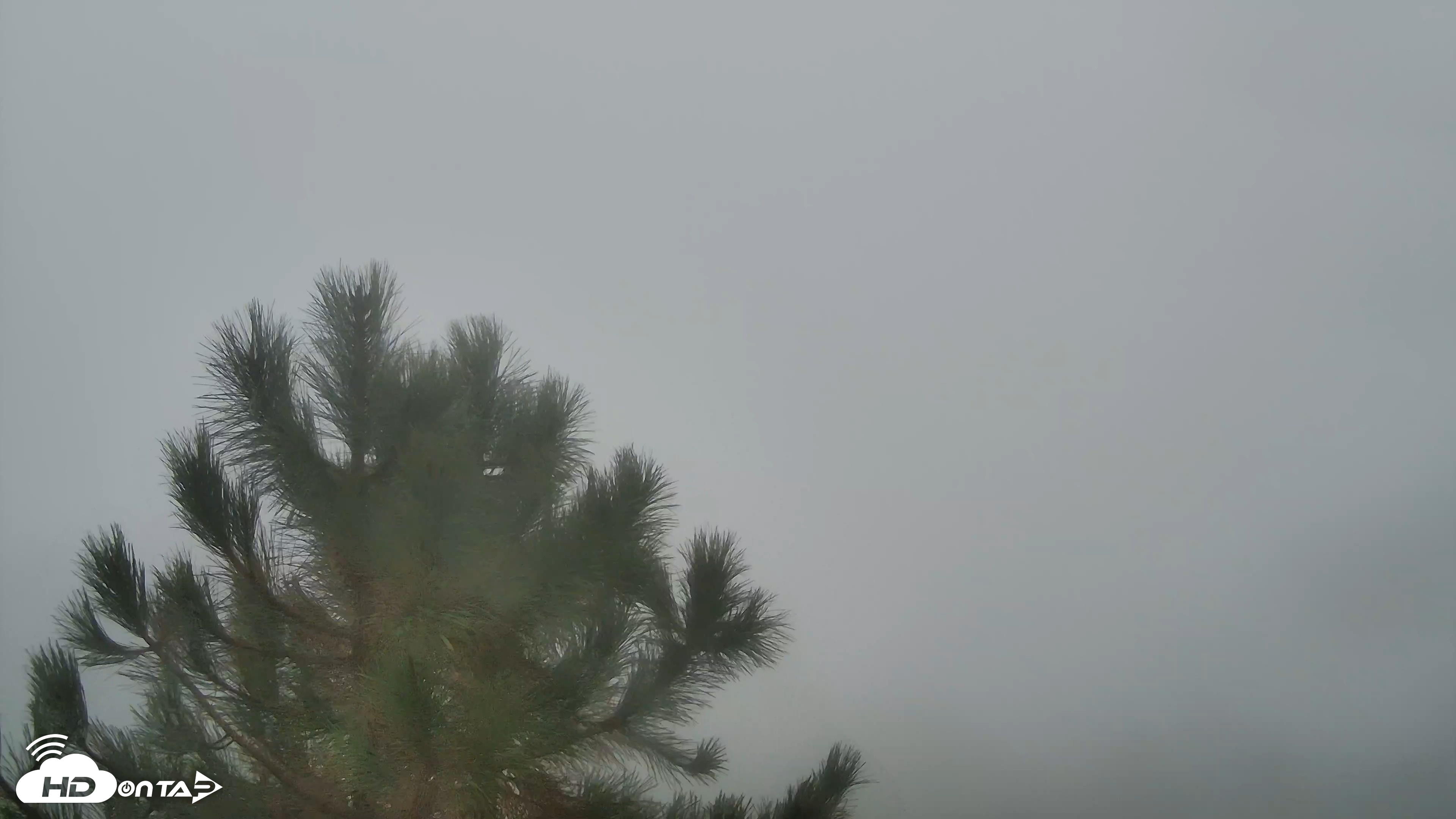 Snapshot of Cuyamaca Mountain Live Weather Cam taken Oct 11, 2026, 11:34am PDT