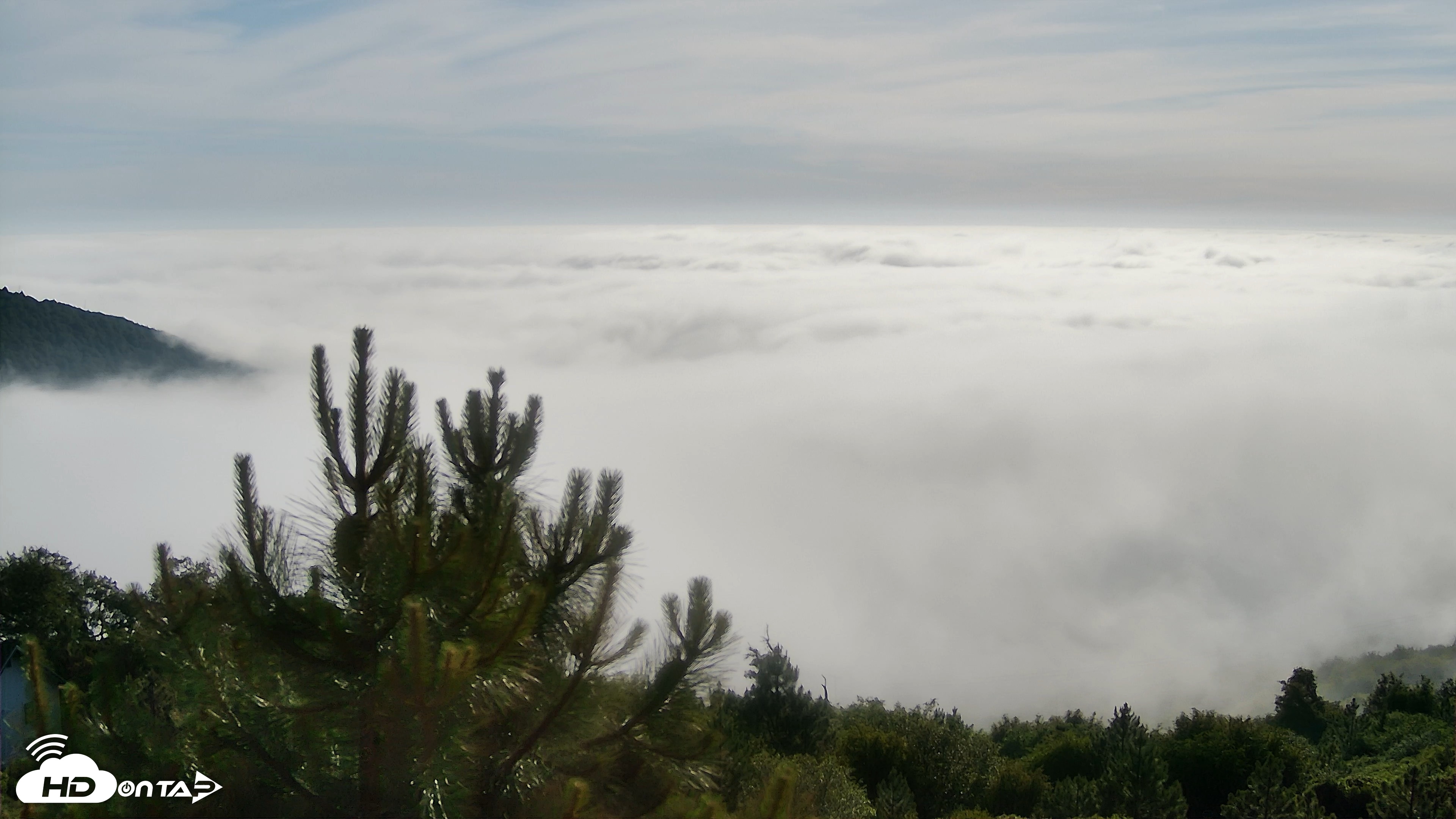 Snapshot of Cuyamaca Mountain Live Weather Cam taken May 12, 2026, 5:42pm PDT
