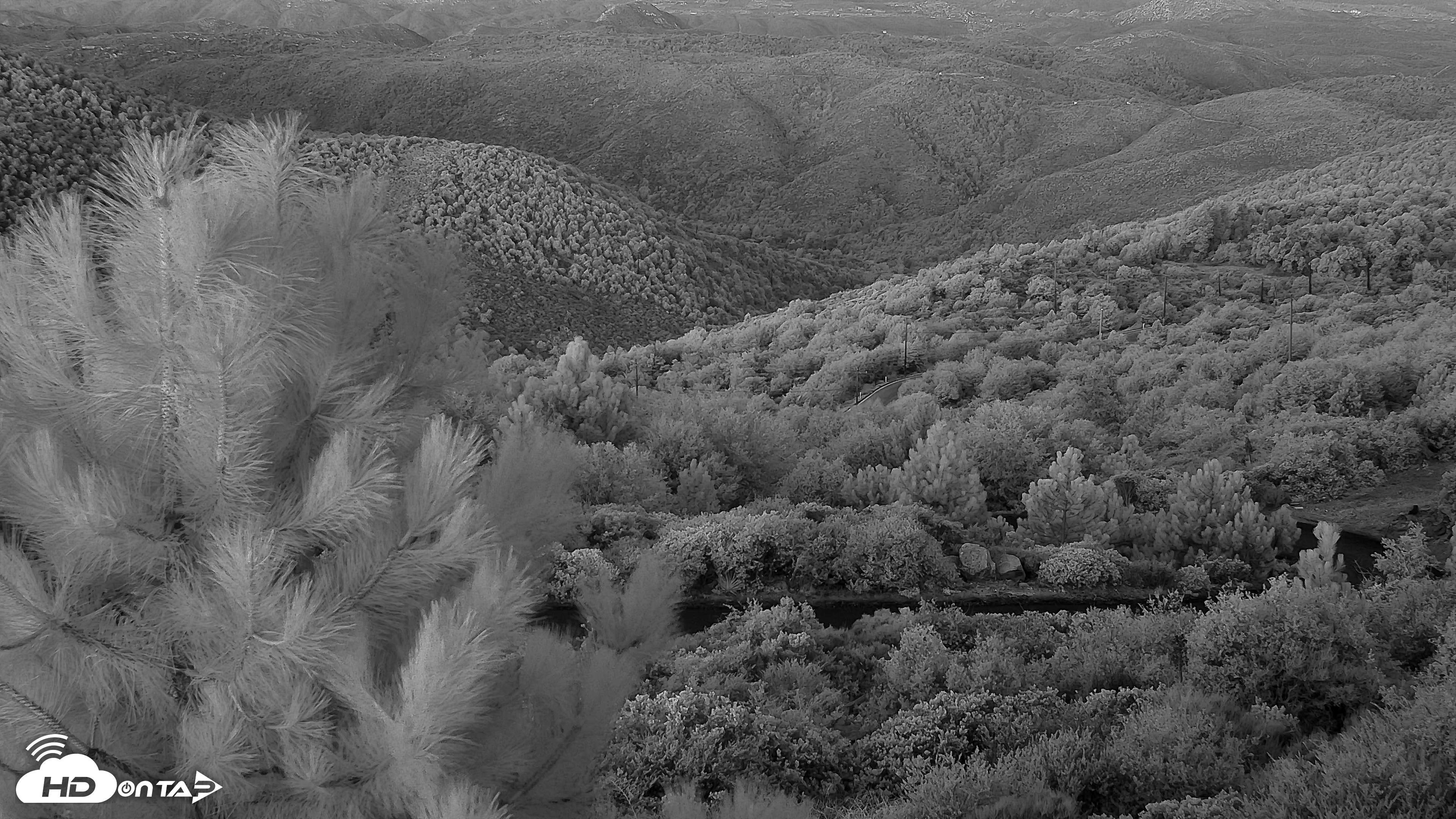 Snapshot of Cuyamaca Mountain Live Weather Cam taken Oct 24, 2025, 6:37am PDT