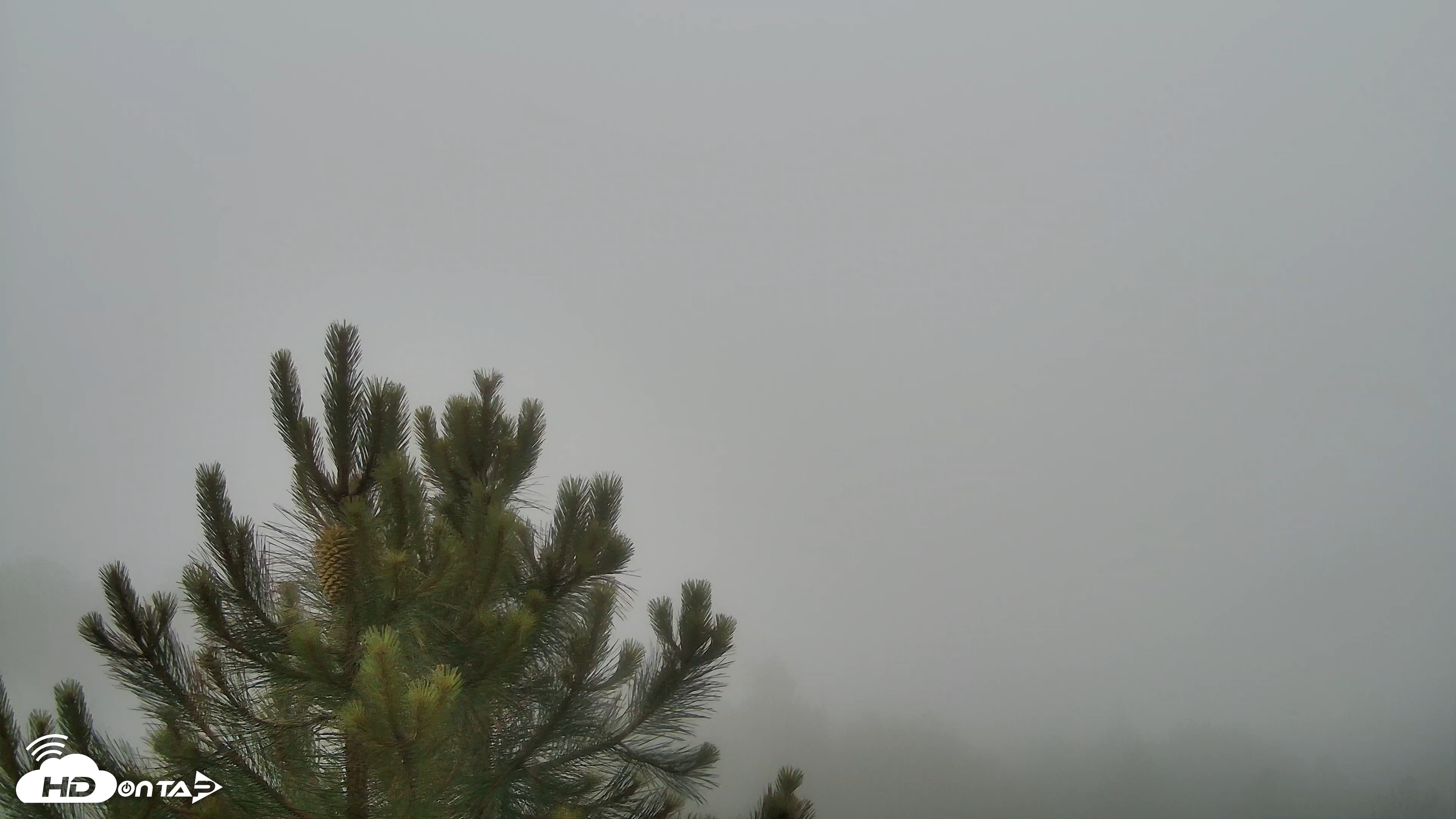 Snapshot of Cuyamaca Mountain Live Weather Cam taken May 28, 2026, 5:54am PDT