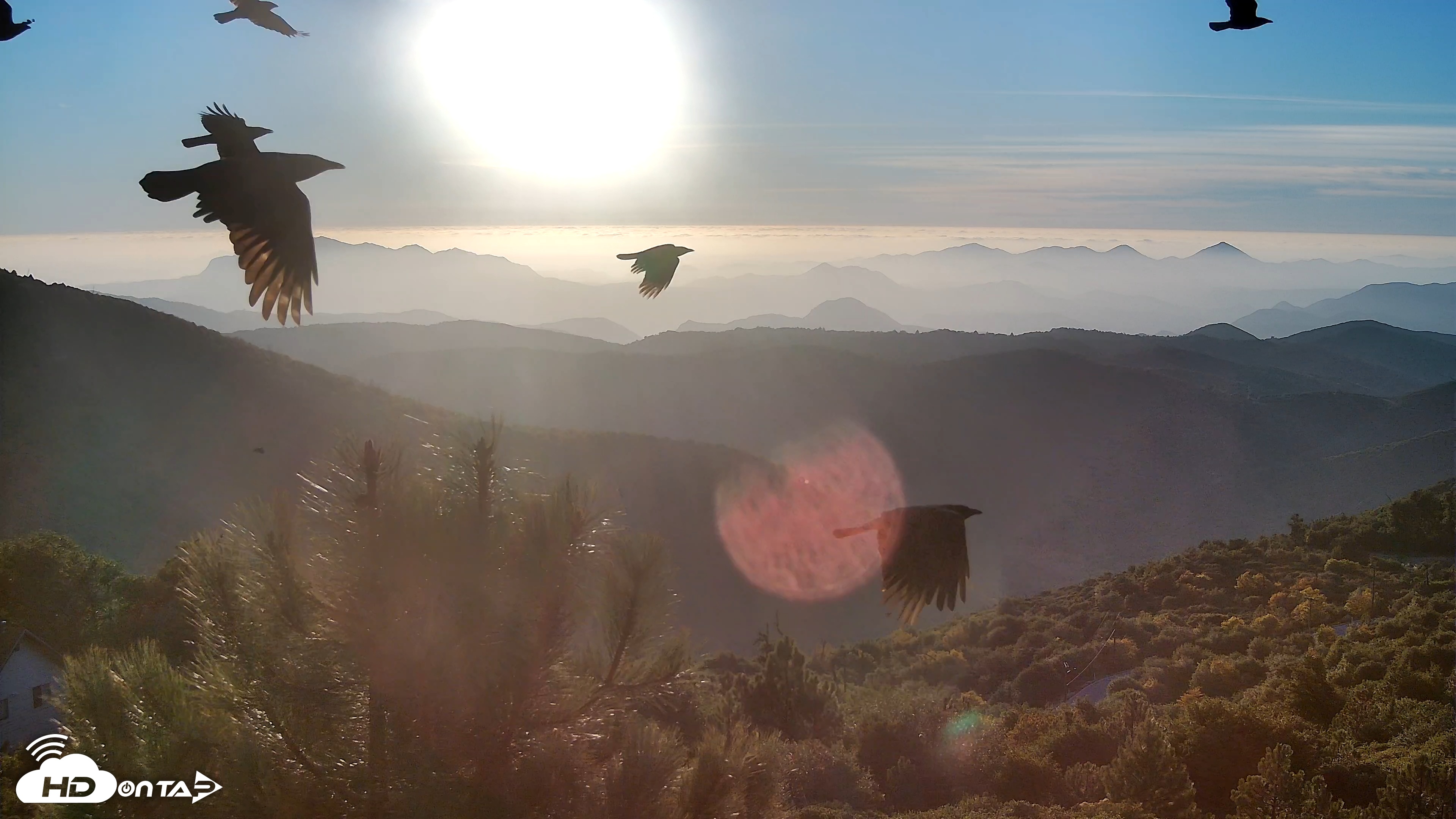 Snapshot of Cuyamaca Mountain Live Weather Cam taken Oct 25, 2025, 5:42pm PDT