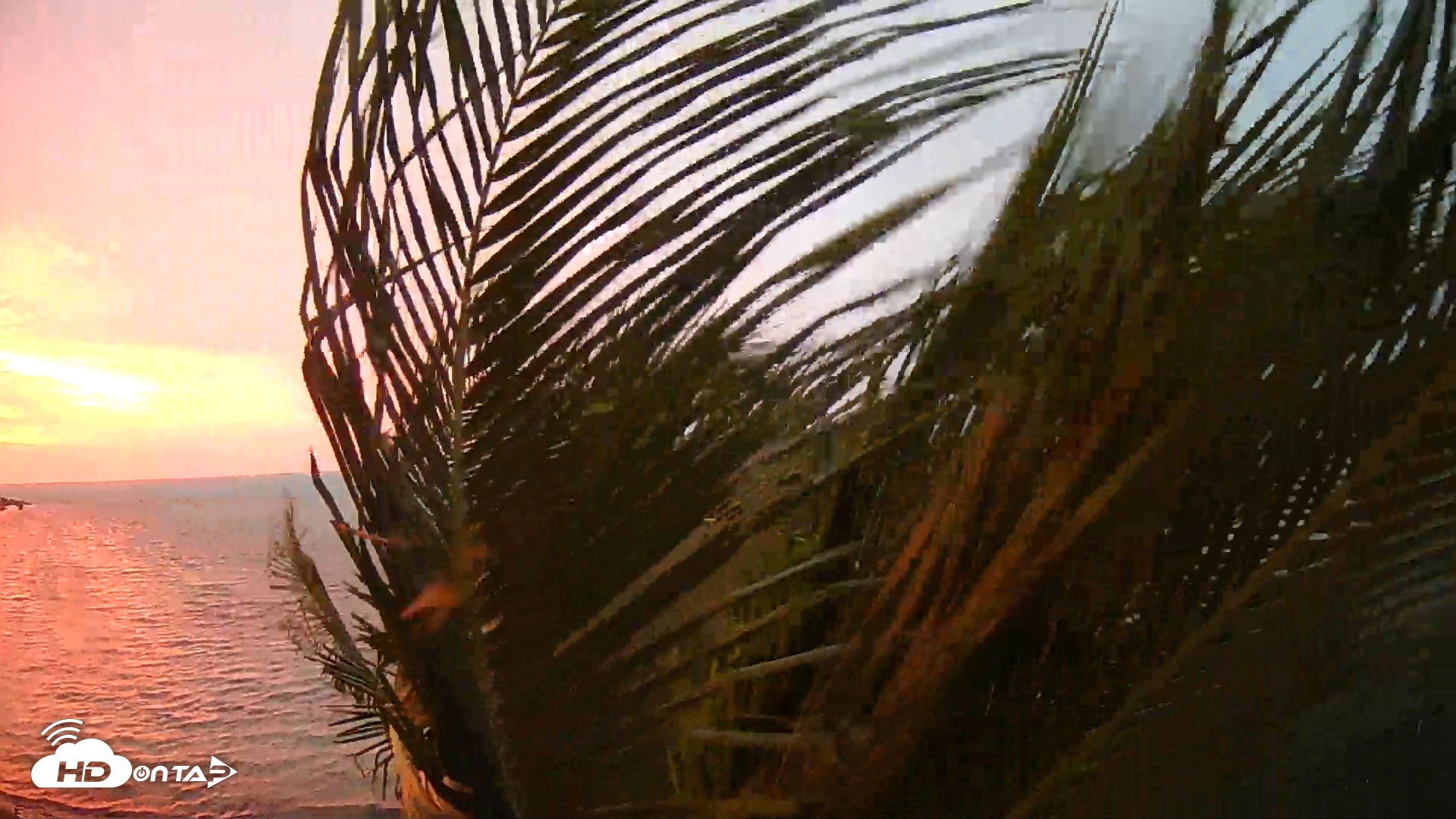 Snapshot of Turks & Caicos Long Bay Live Webcam taken Oct 29, 2025, 6:44am EDT