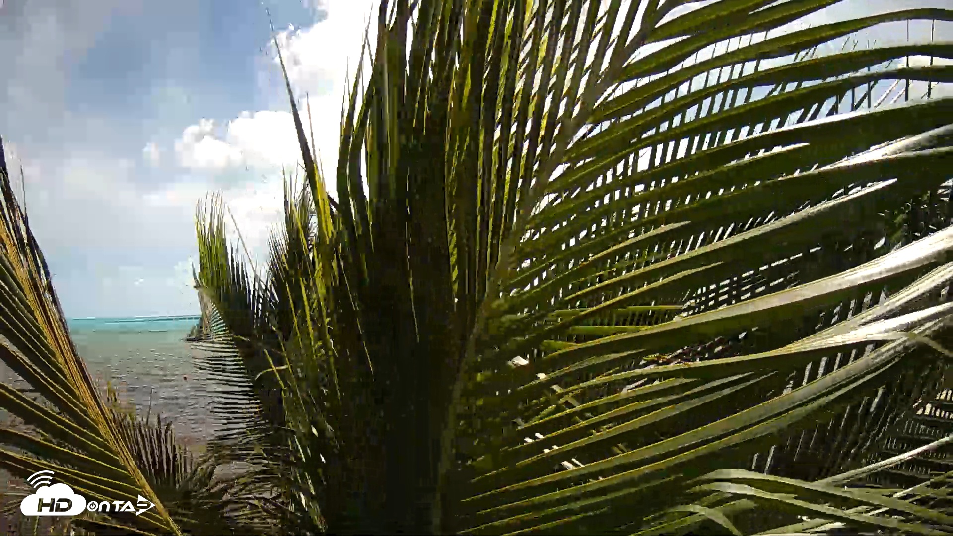 Snapshot of Turks & Caicos Long Bay Live Webcam taken Oct 12, 2025, 1:23pm EDT