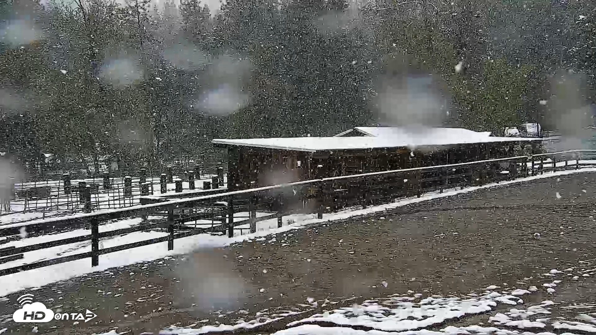 Snapshot of Greenhorn Ranch Live Horse Arena Cam taken Apr 12, 2026, 12:06pm PDT