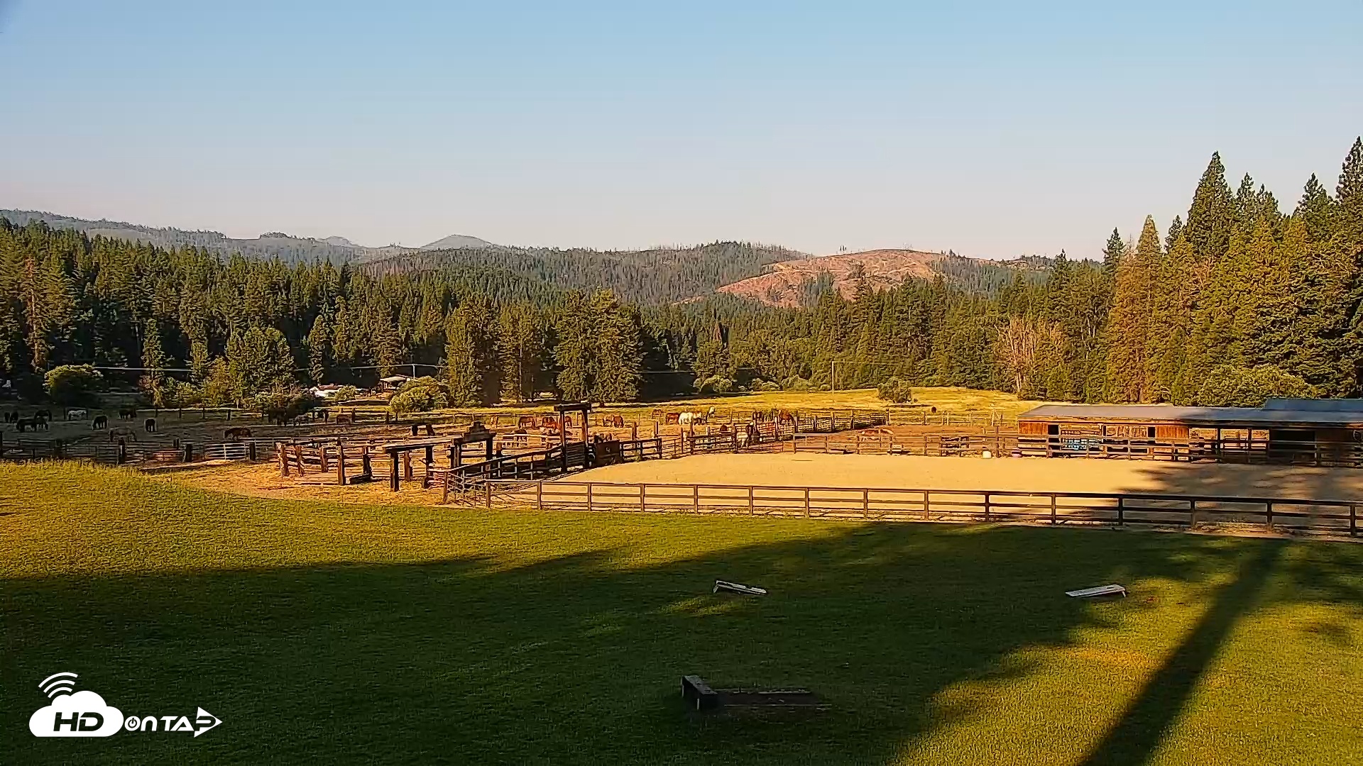 Snapshot of Greenhorn Ranch Live Horse Arena Cam taken Jul 10, 2025, 7:33am PDT