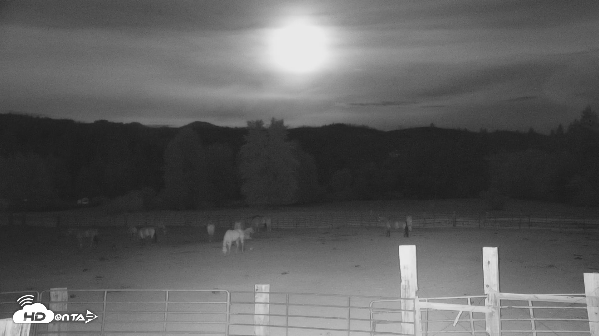 Snapshot of Greenhorn Ranch Live Horse Arena Cam taken May 2, 2026, 5:06am PDT