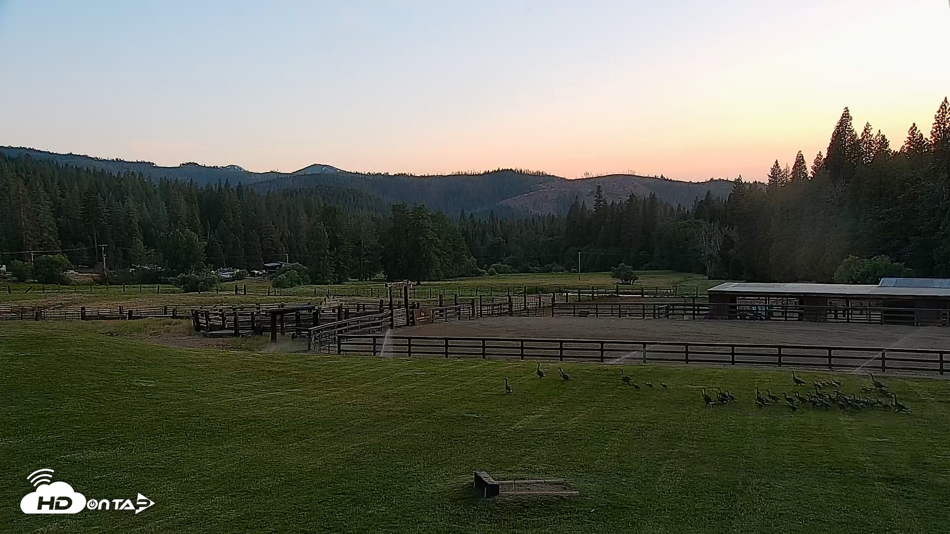 Snapshot of Greenhorn Ranch Live Horse Arena Cam taken Jun 1, 2025, 8:19pm PDT