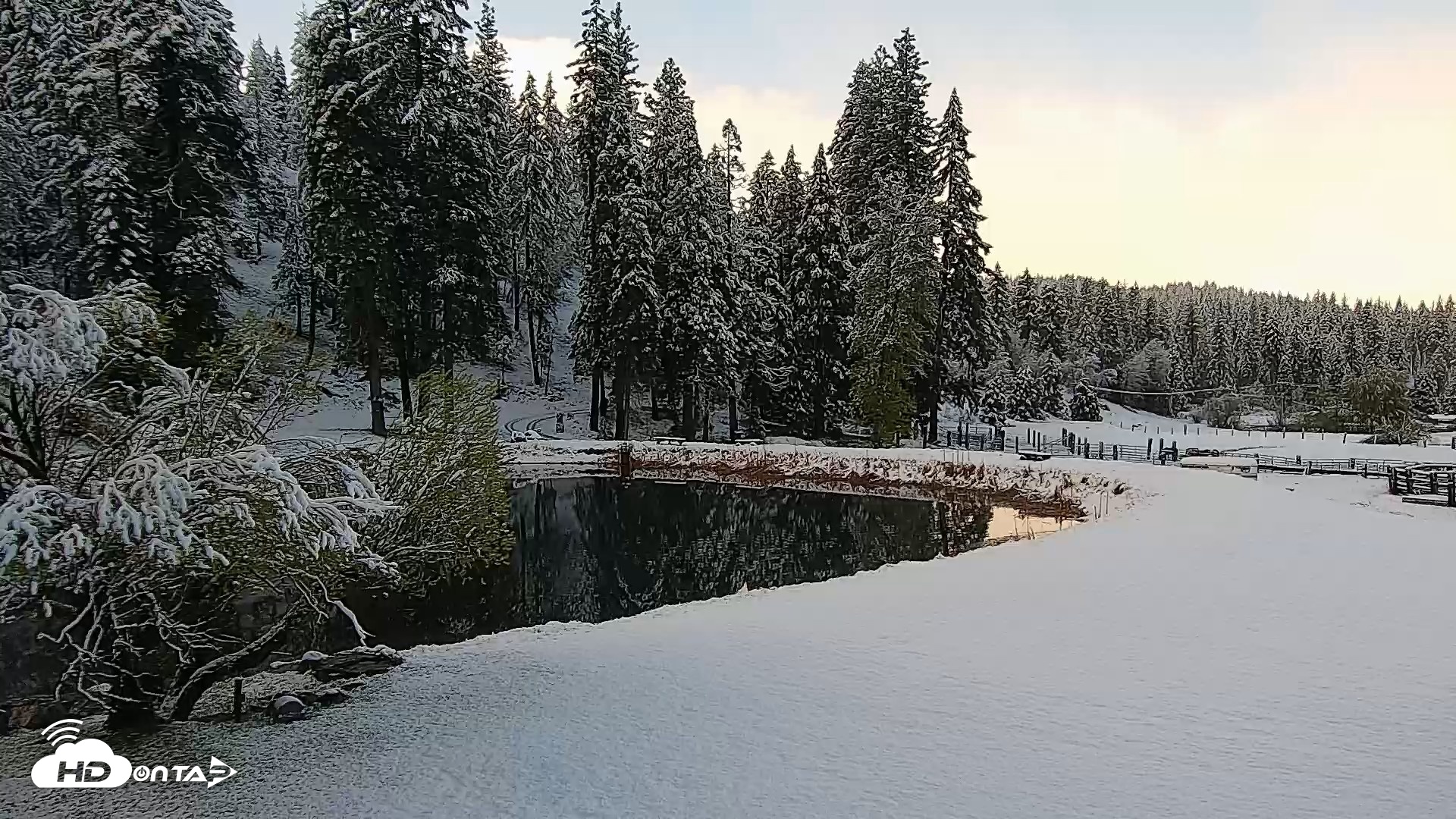 Snapshot of Greenhorn Ranch Live Horse Arena Cam taken Apr 12, 2026, 8:32am PDT